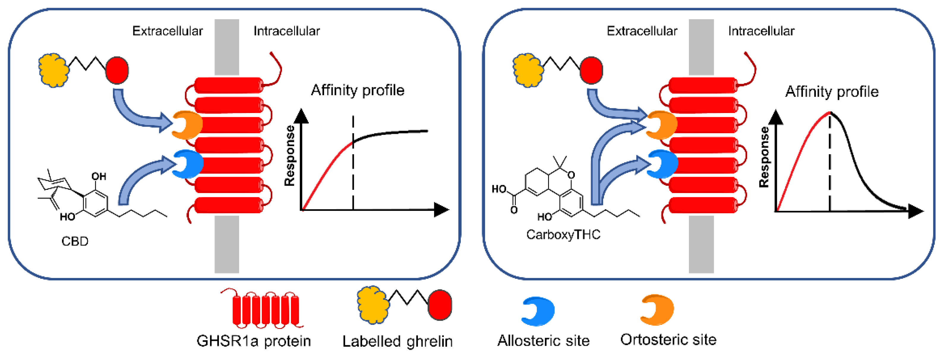 Biosensors 12 00608 g004