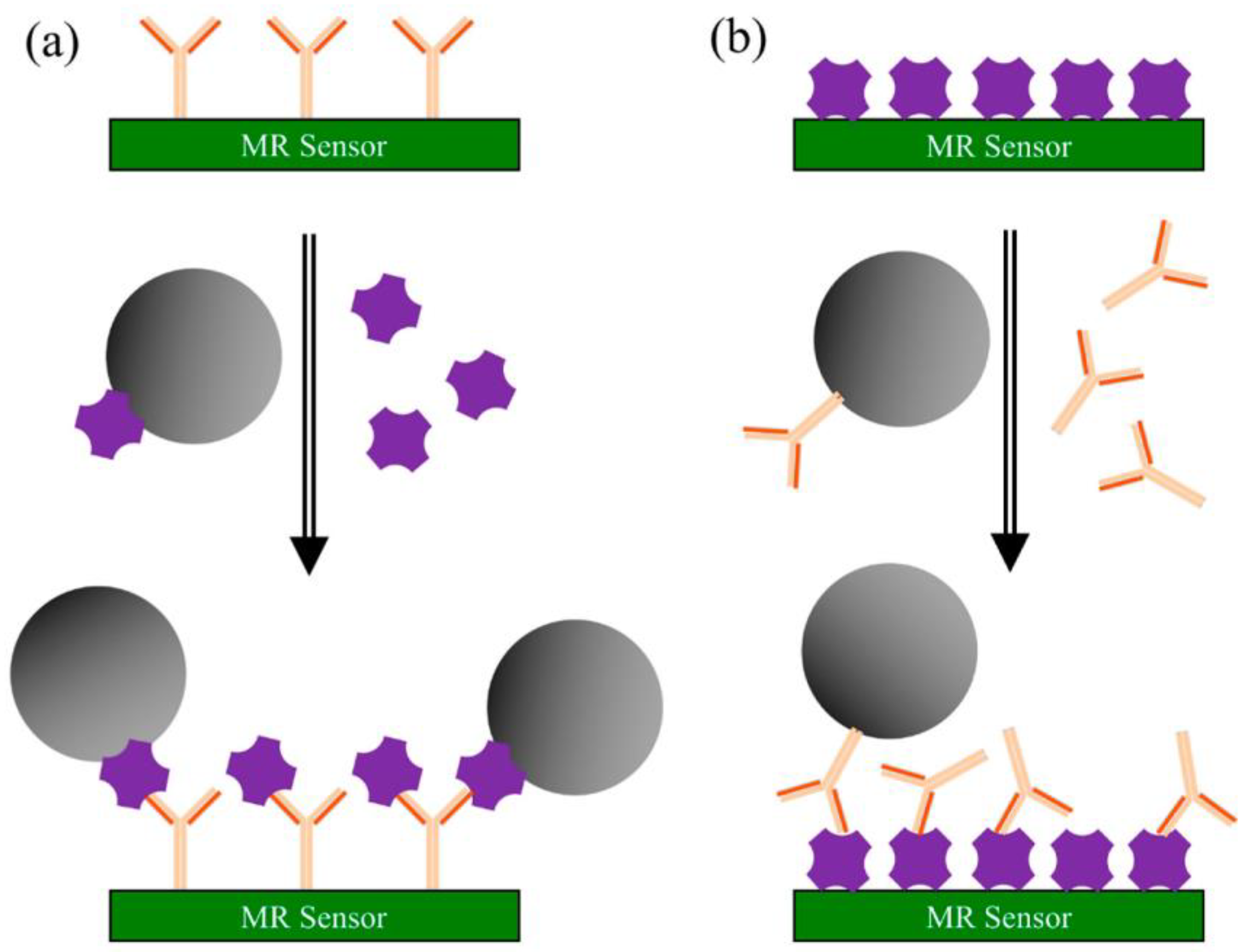 Biosensors 12 00608 sch002
