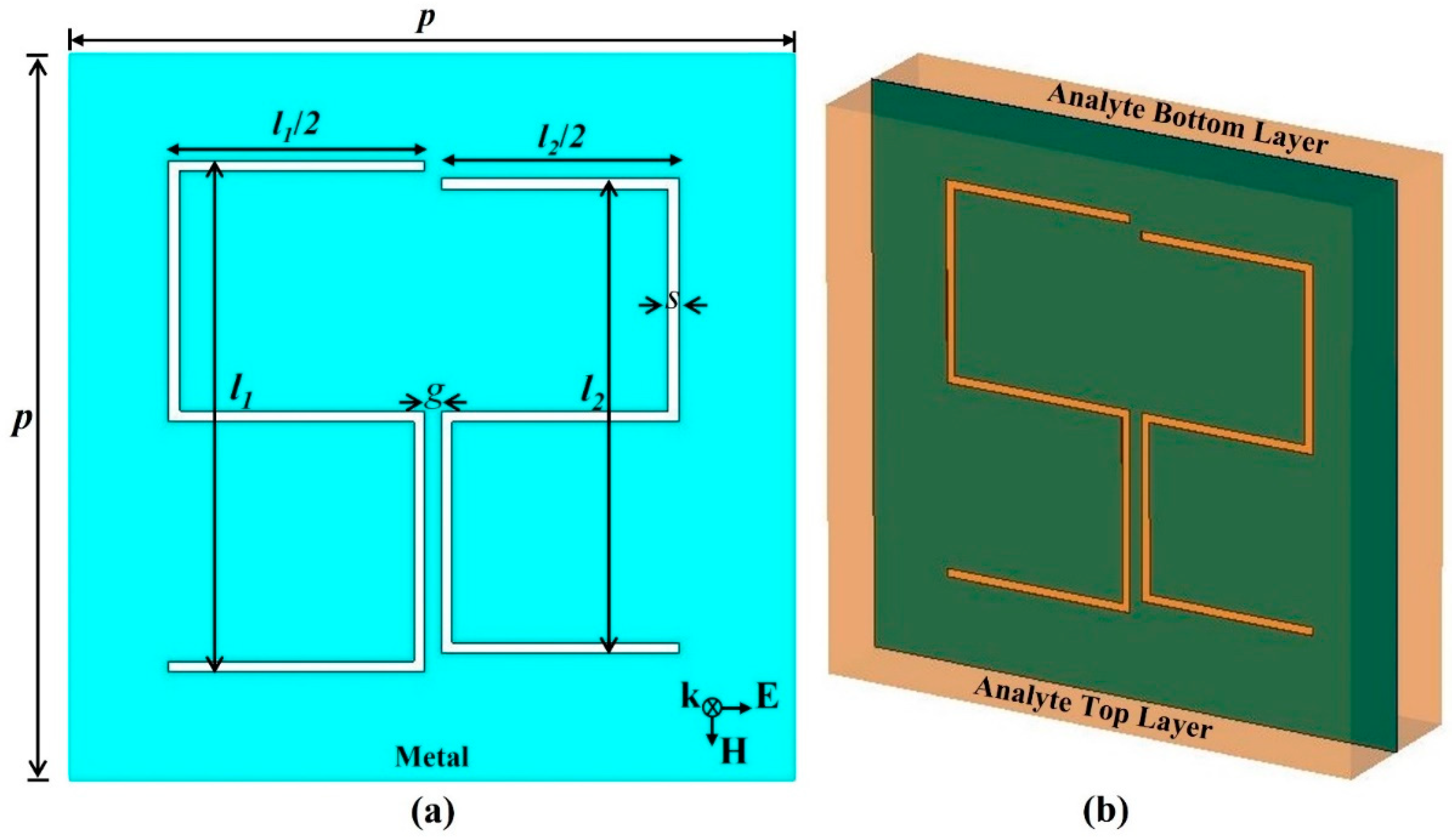 Biosensors 12 00609 g001