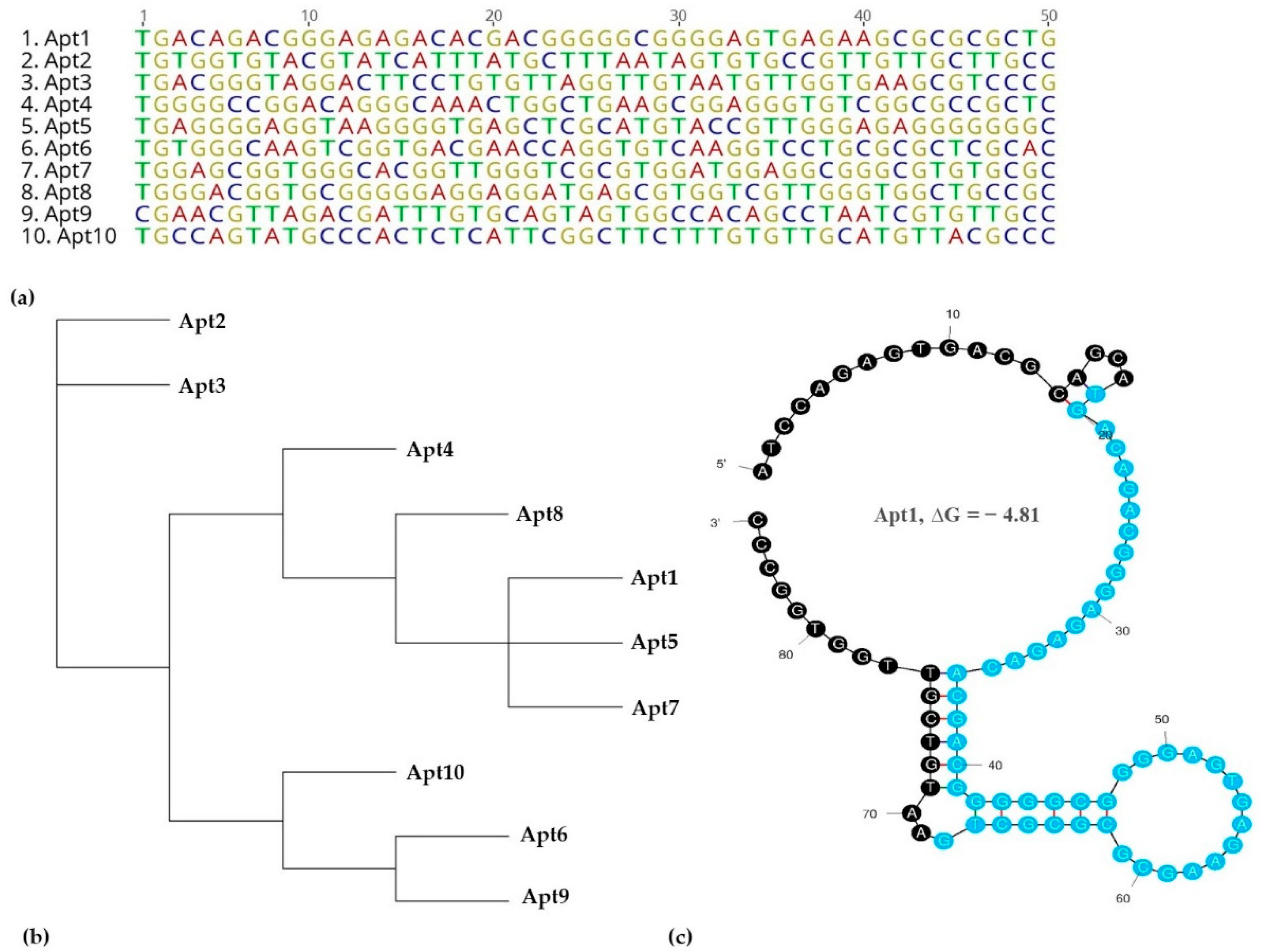 Biosensors 12 00614 g003 550
