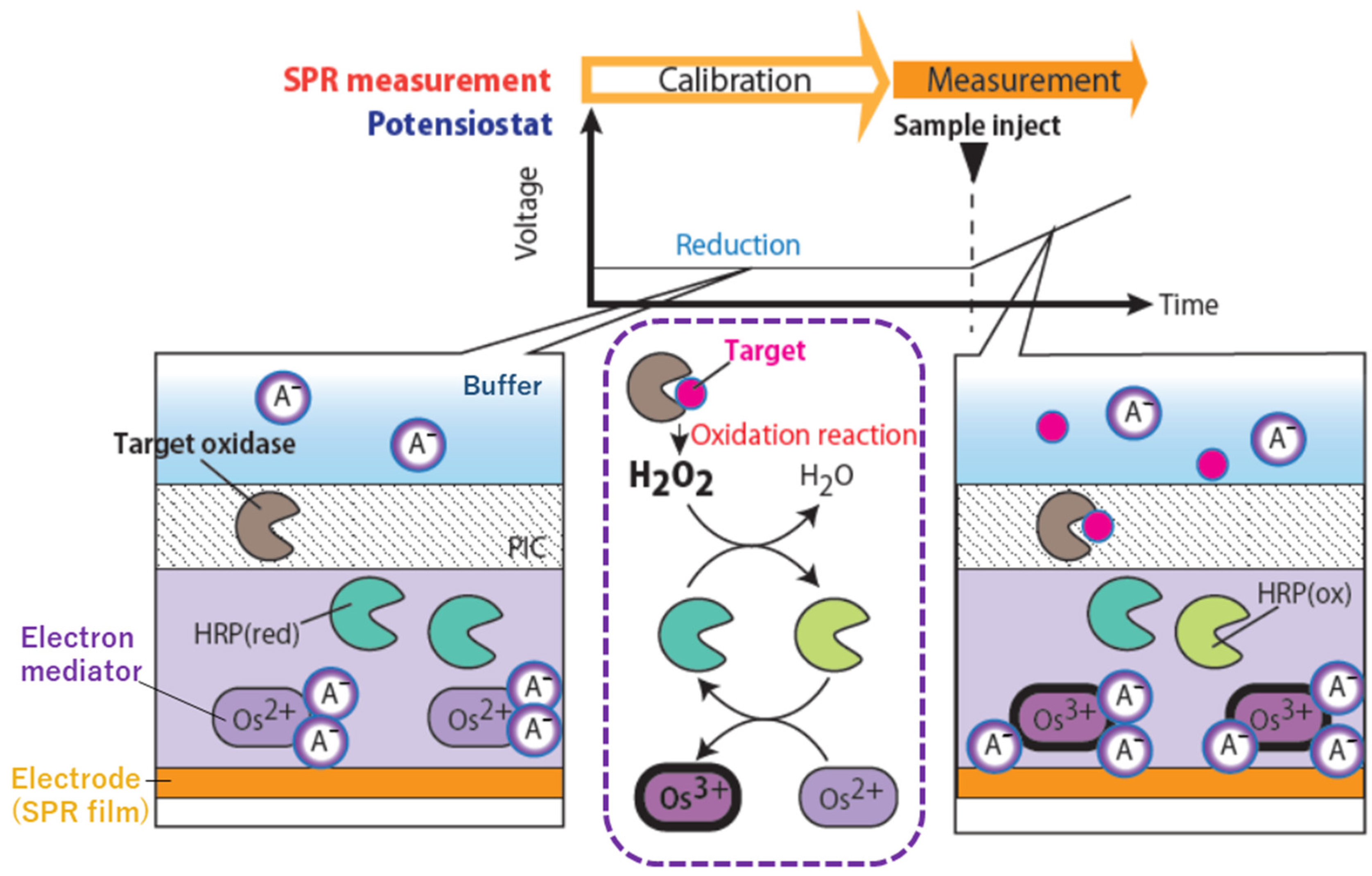 Biosensors 12 00615 g001
