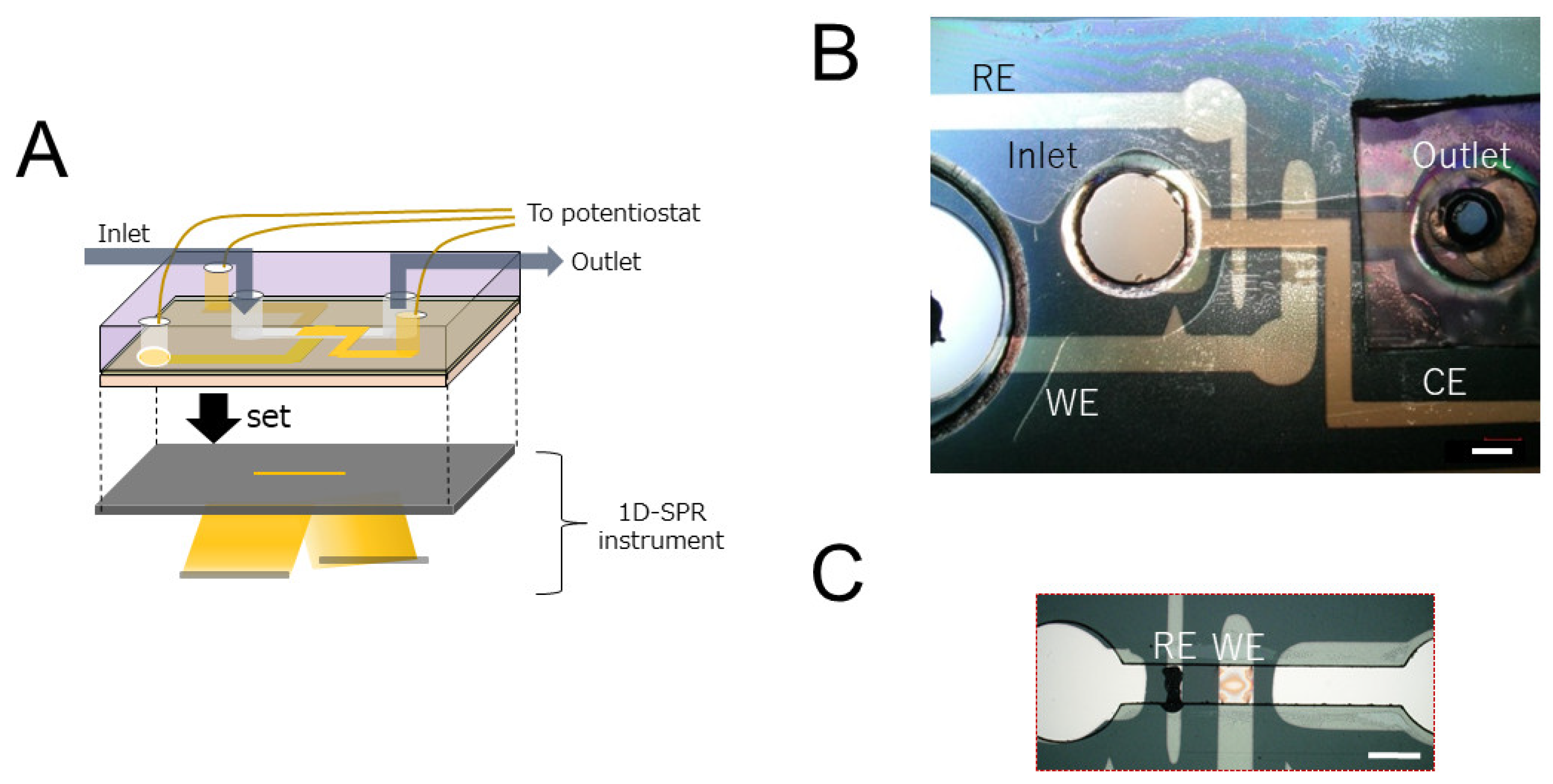 Biosensors 12 00615 g002
