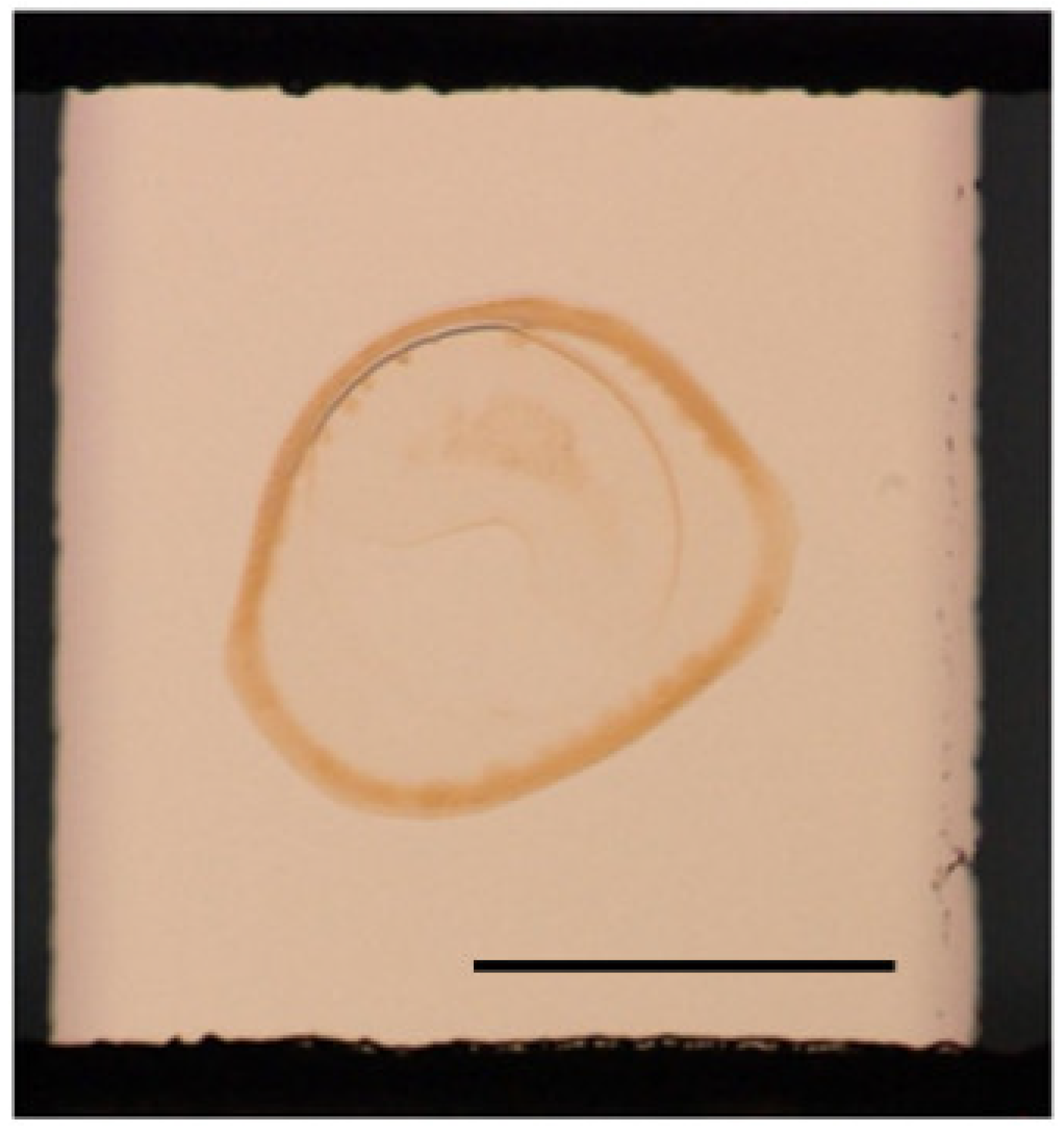 Biosensors 12 00615 g004