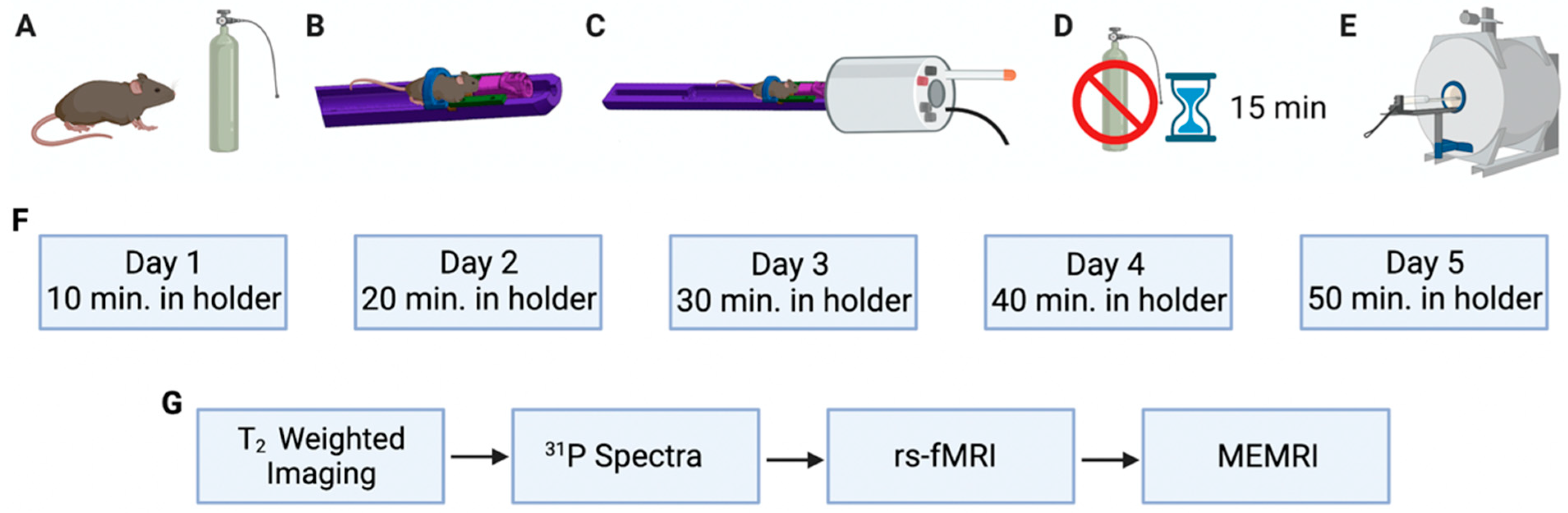 Biosensors 12 00616 g003