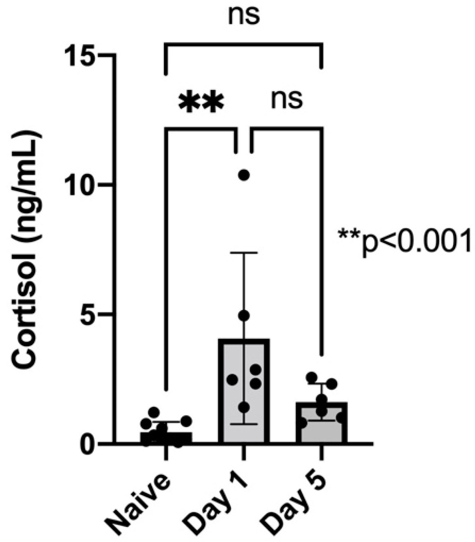 Biosensors 12 00616 g004