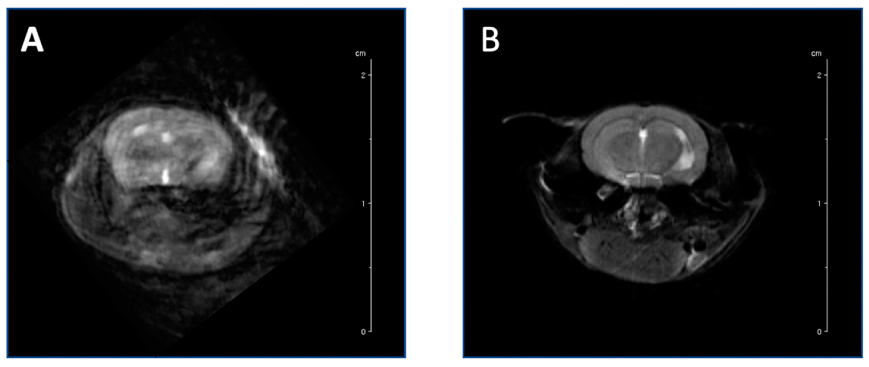 Biosensors 12 00616 g005
