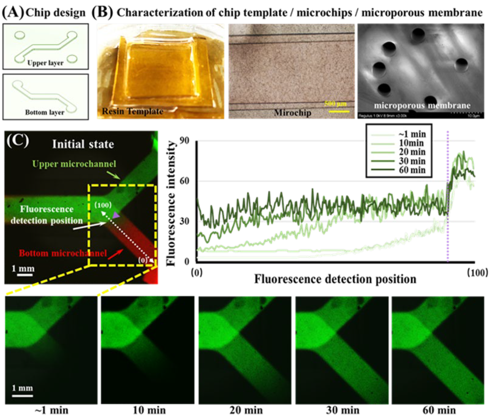 Biosensors 12 00618 g002 550