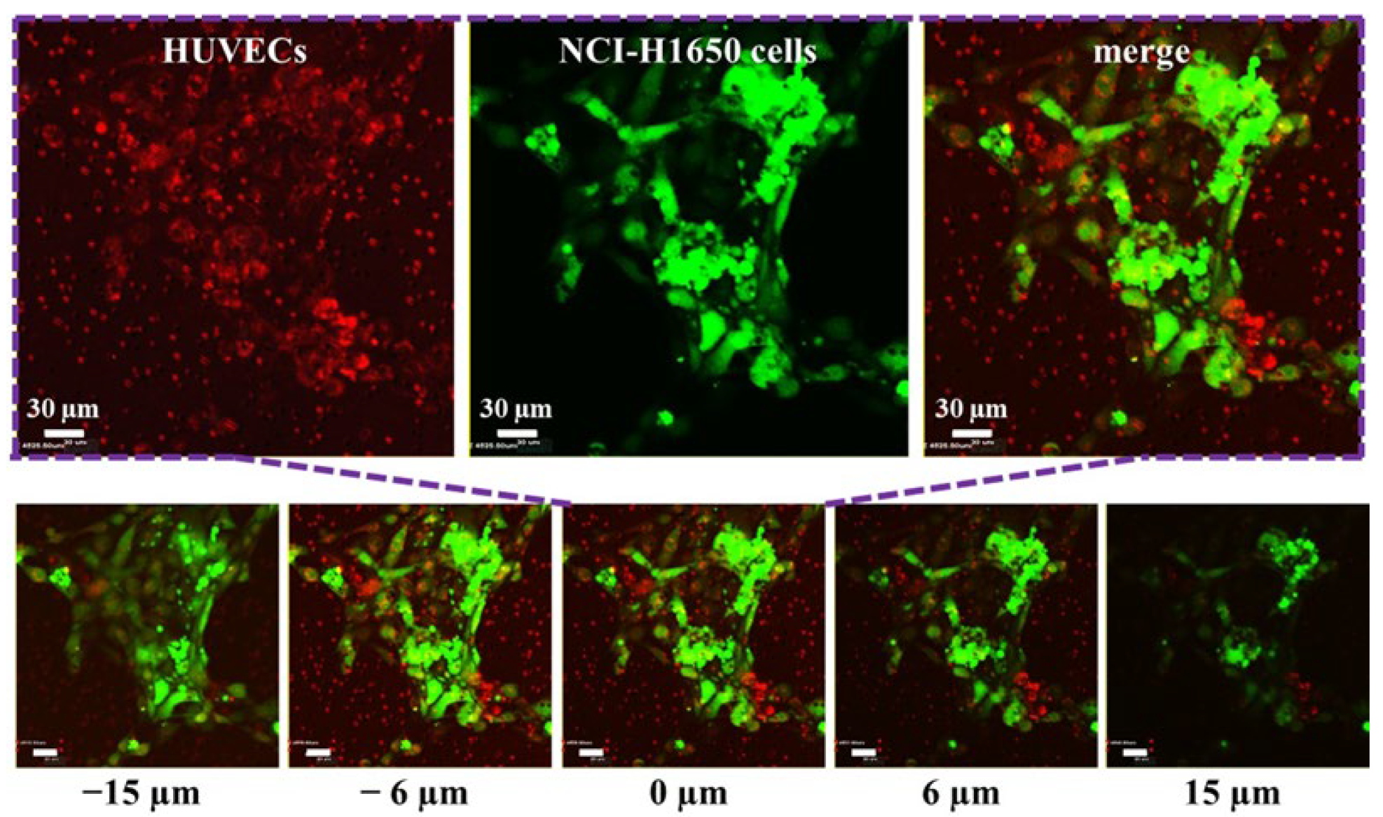 Biosensors 12 00618 g003 550