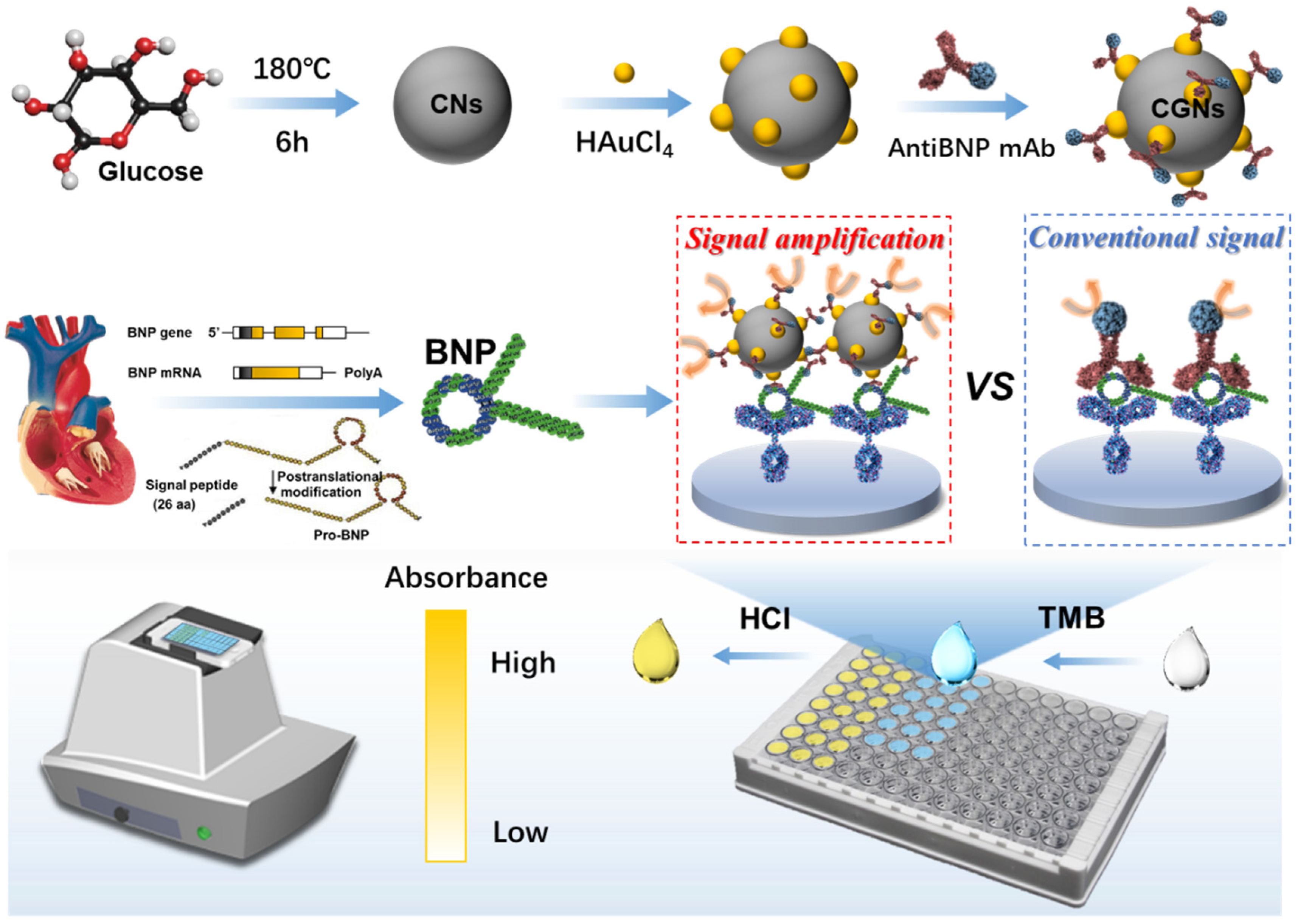 Biosensors 12 00619 g001 550