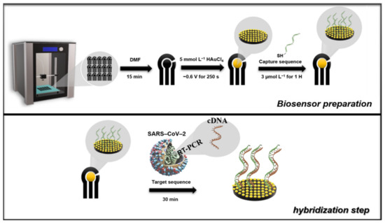 Biosensors 12 00622 sch001 550