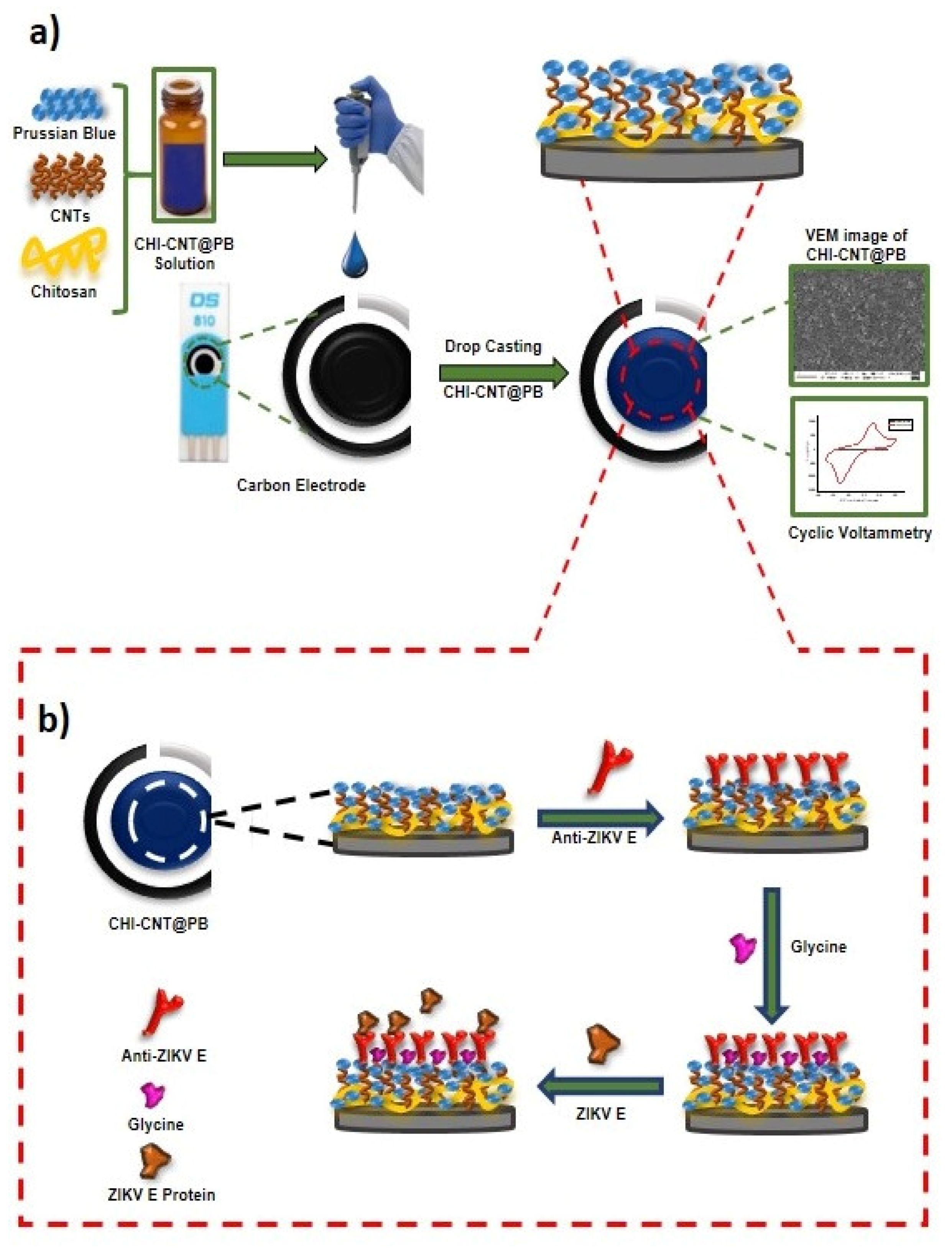 Biosensors 12 00623 g001 550
