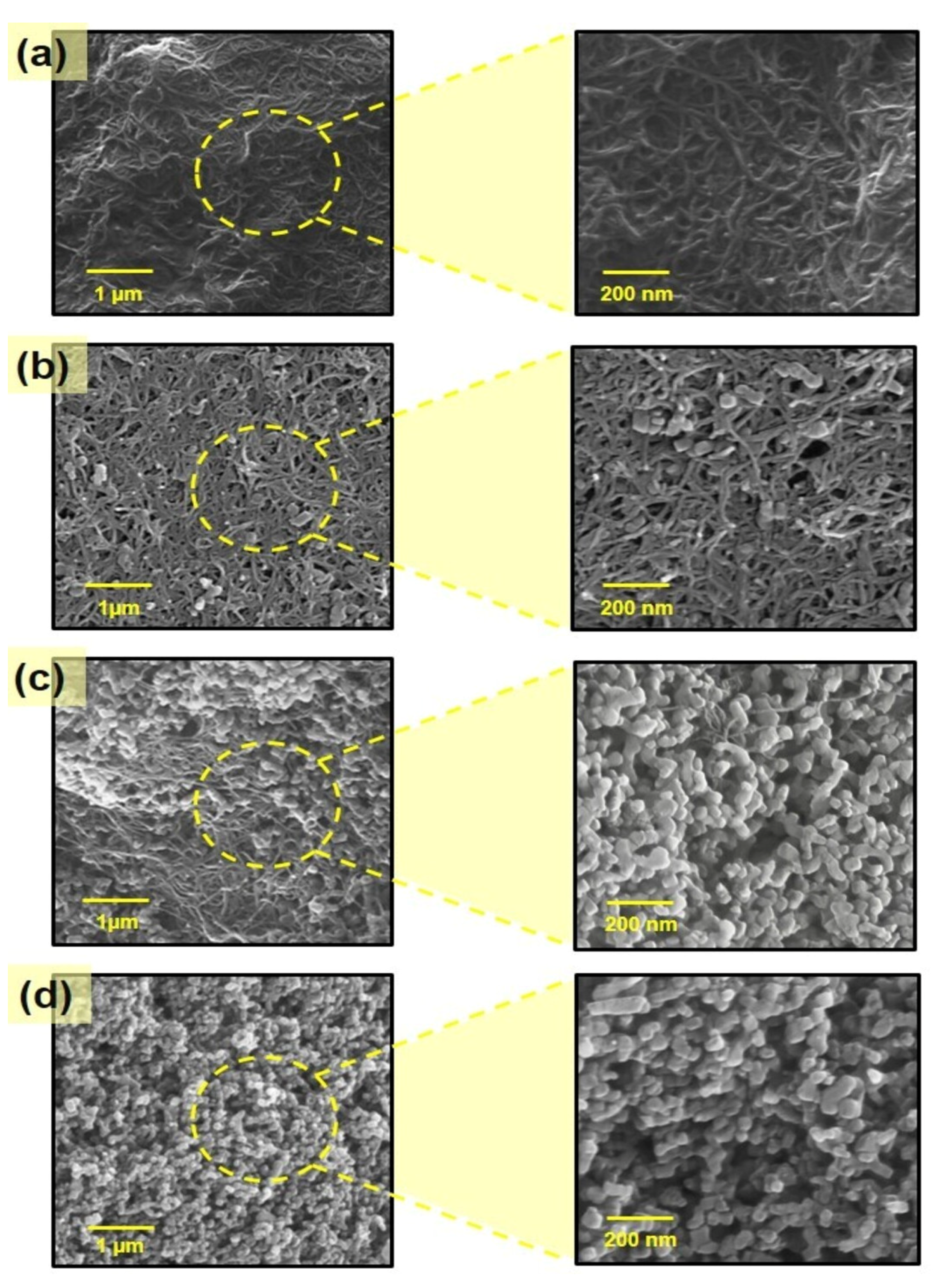Biosensors 12 00623 g004 550