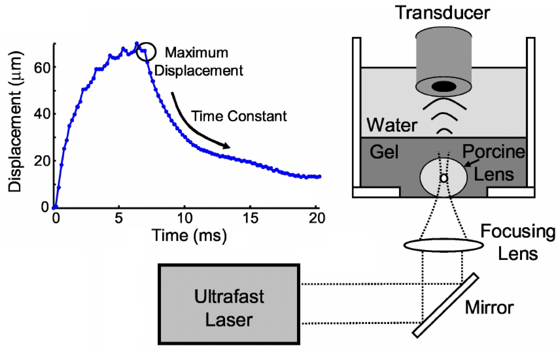 Biosensors 12 00624 g011