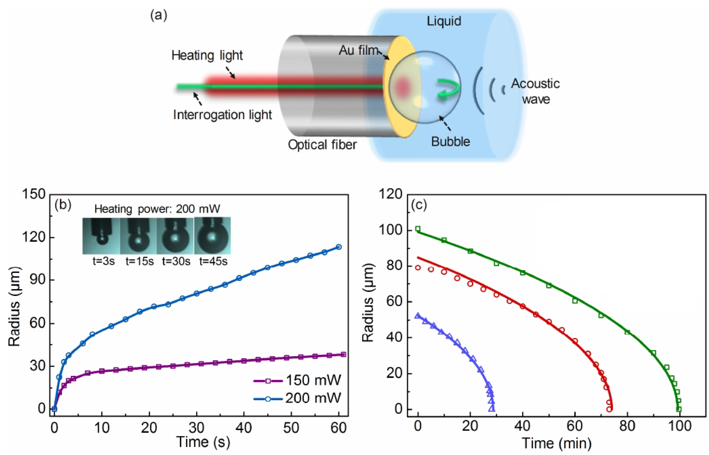 Biosensors 12 00624 g017