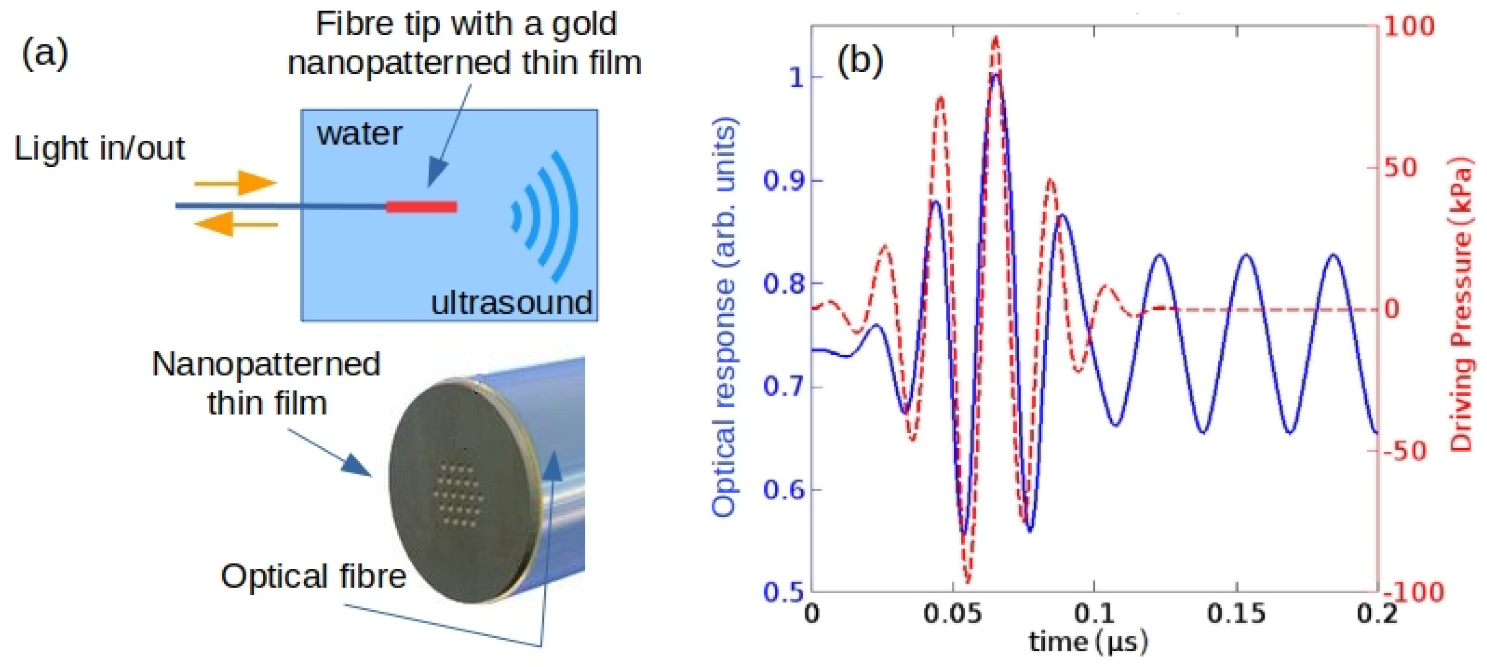 Biosensors 12 00624 g018