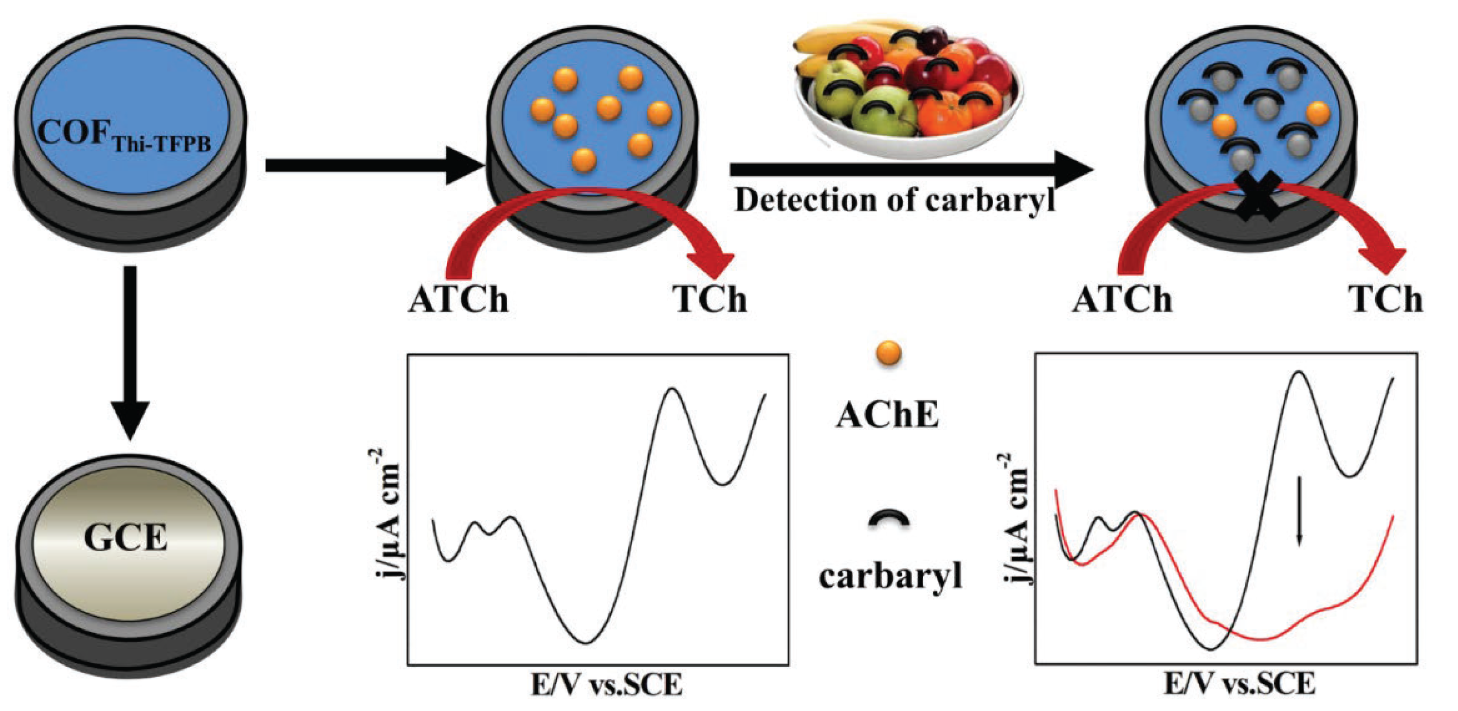 Biosensors 12 00625 sch001 550