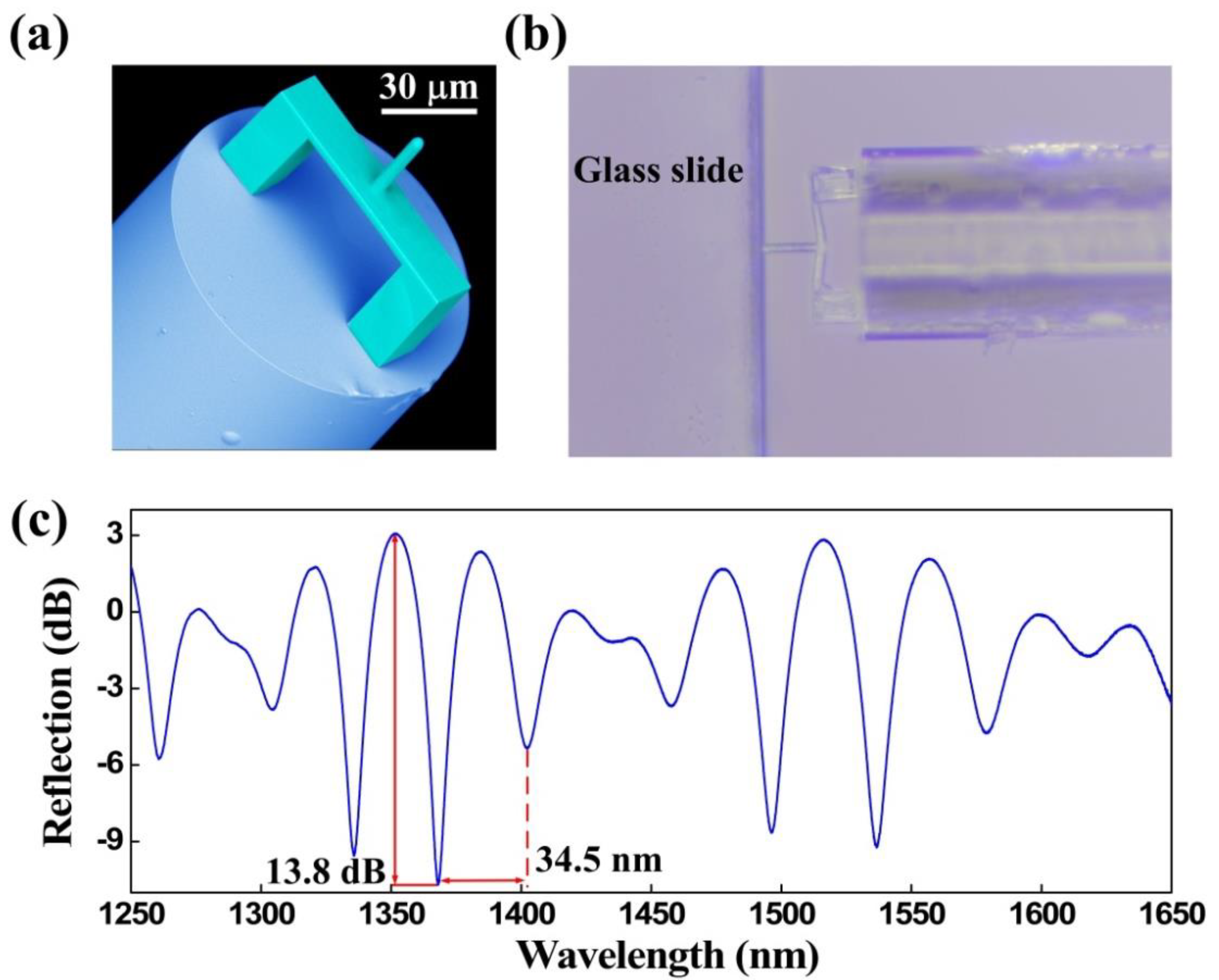 Biosensors 12 00629 g003 Biosensors 12 00629 g003