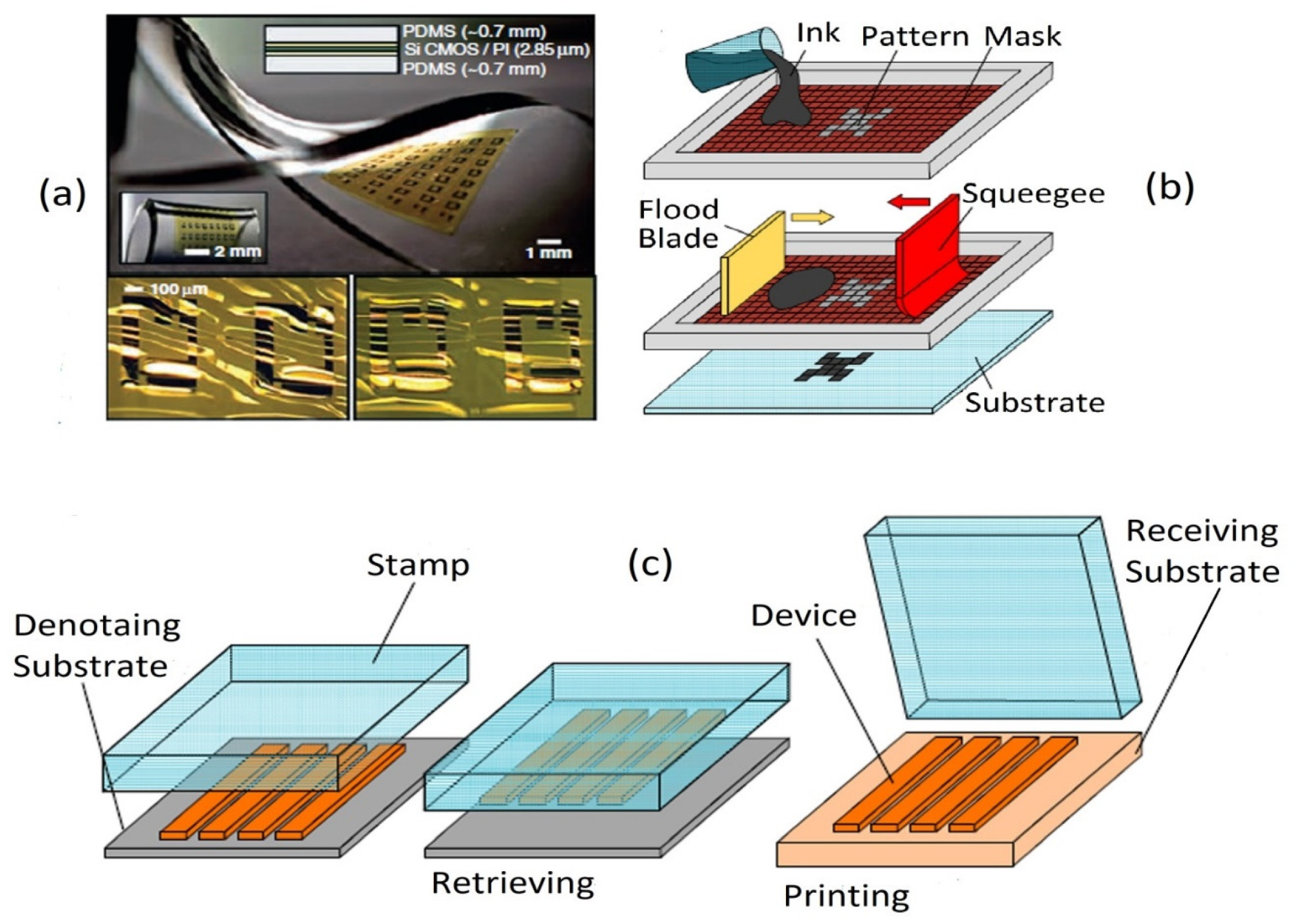 Biosensors 12 00630 g003