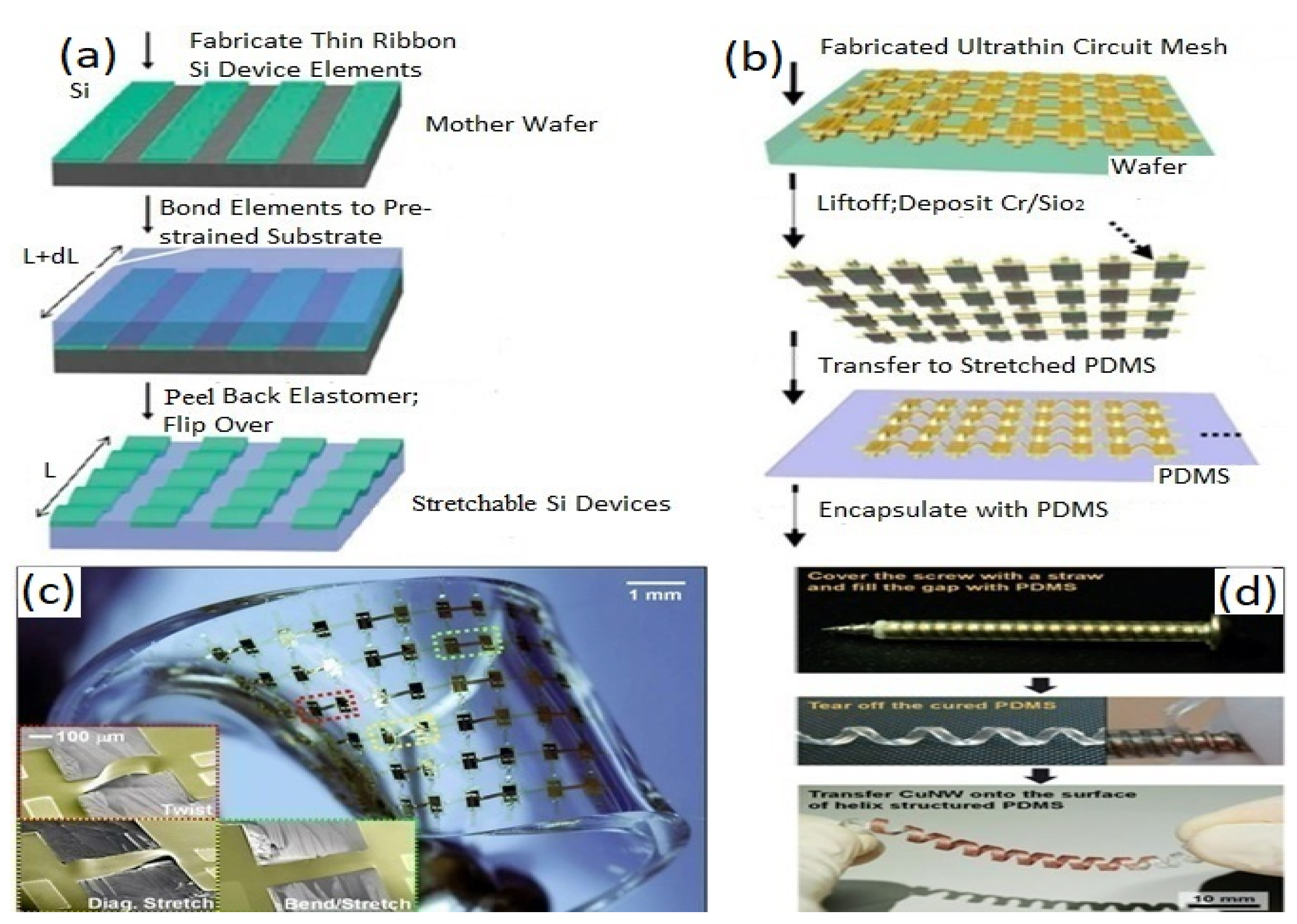 Biosensors 12 00630 g005