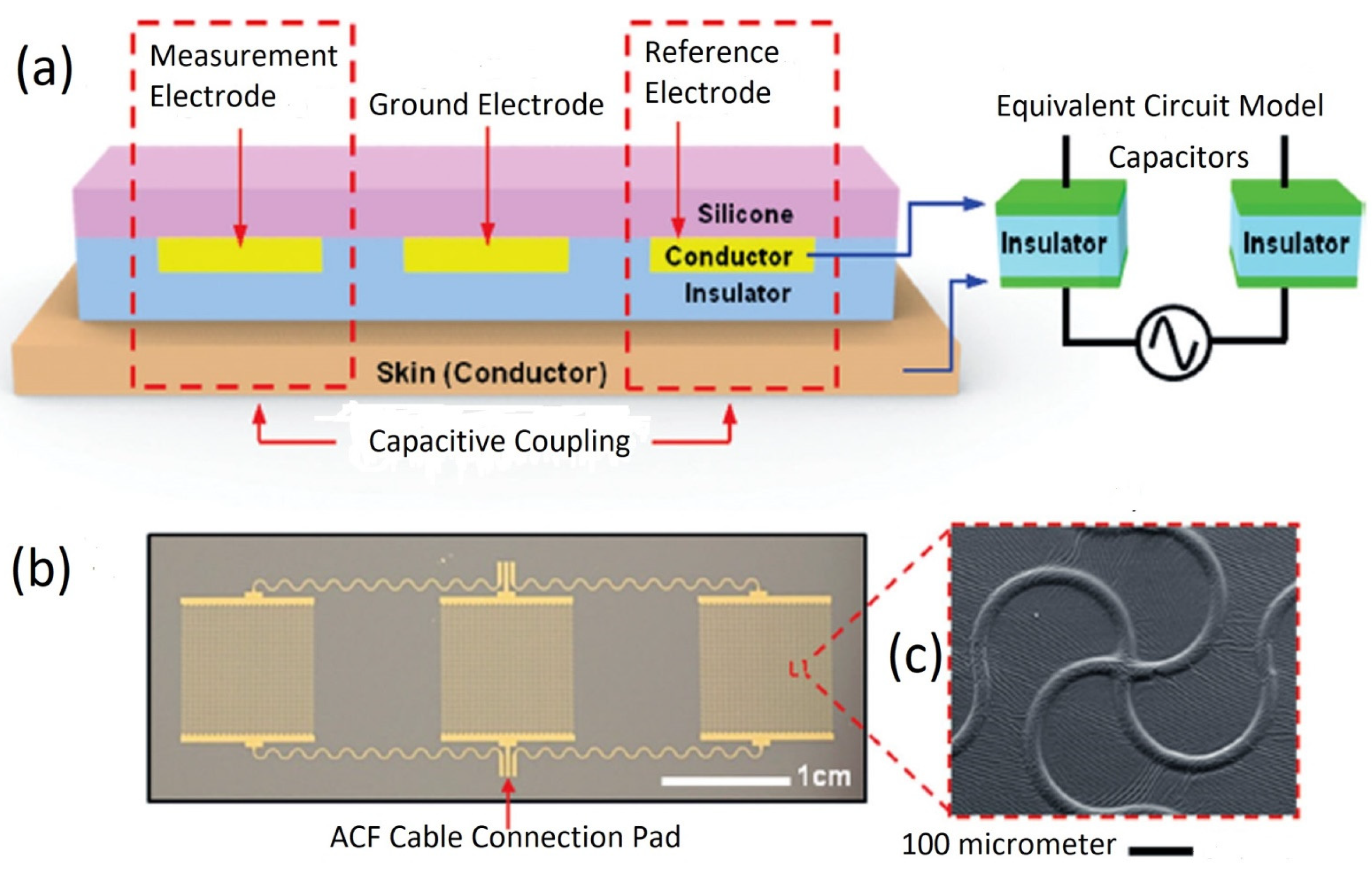Biosensors 12 00630 g007