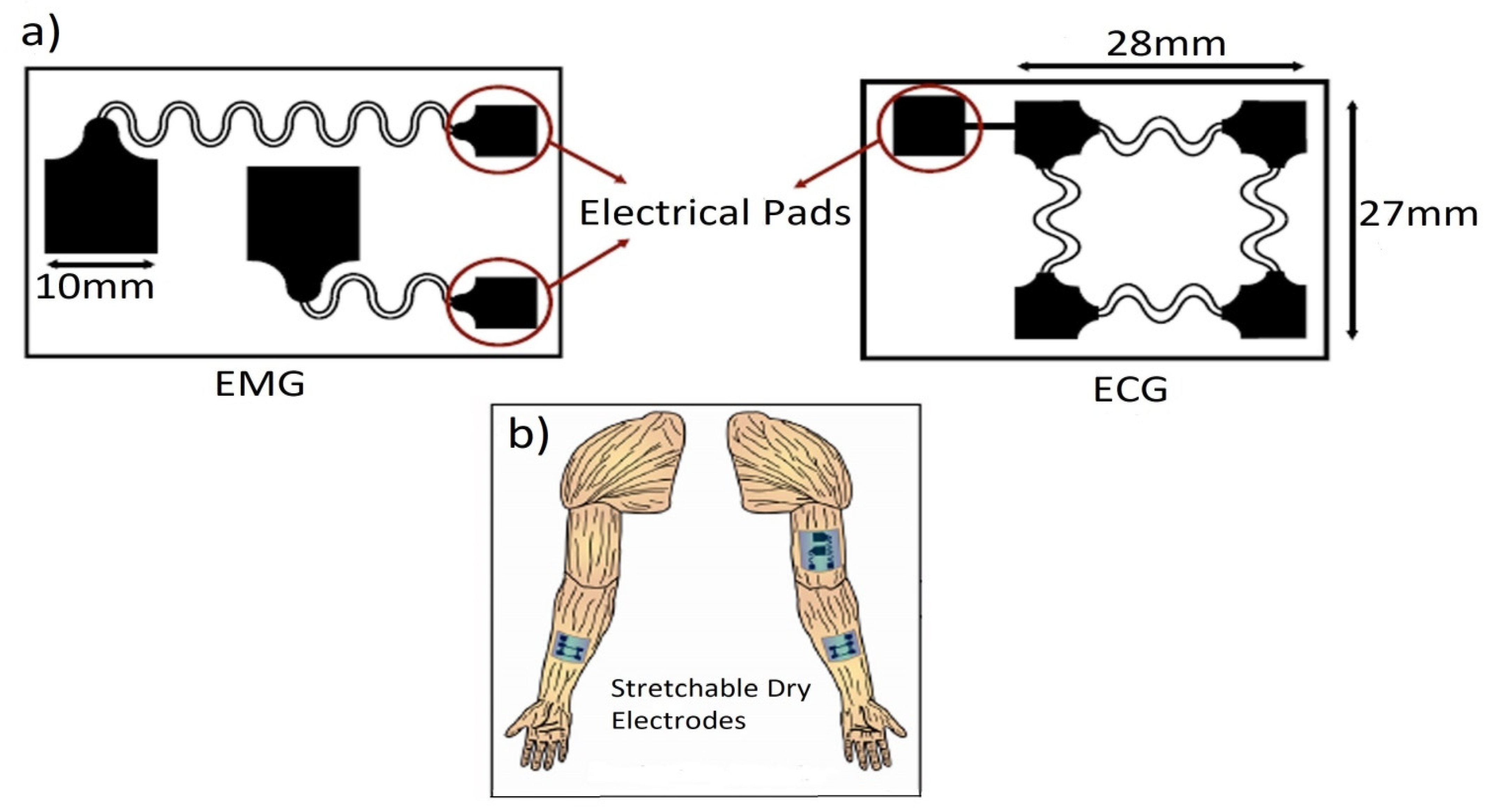 Biosensors 12 00630 g008