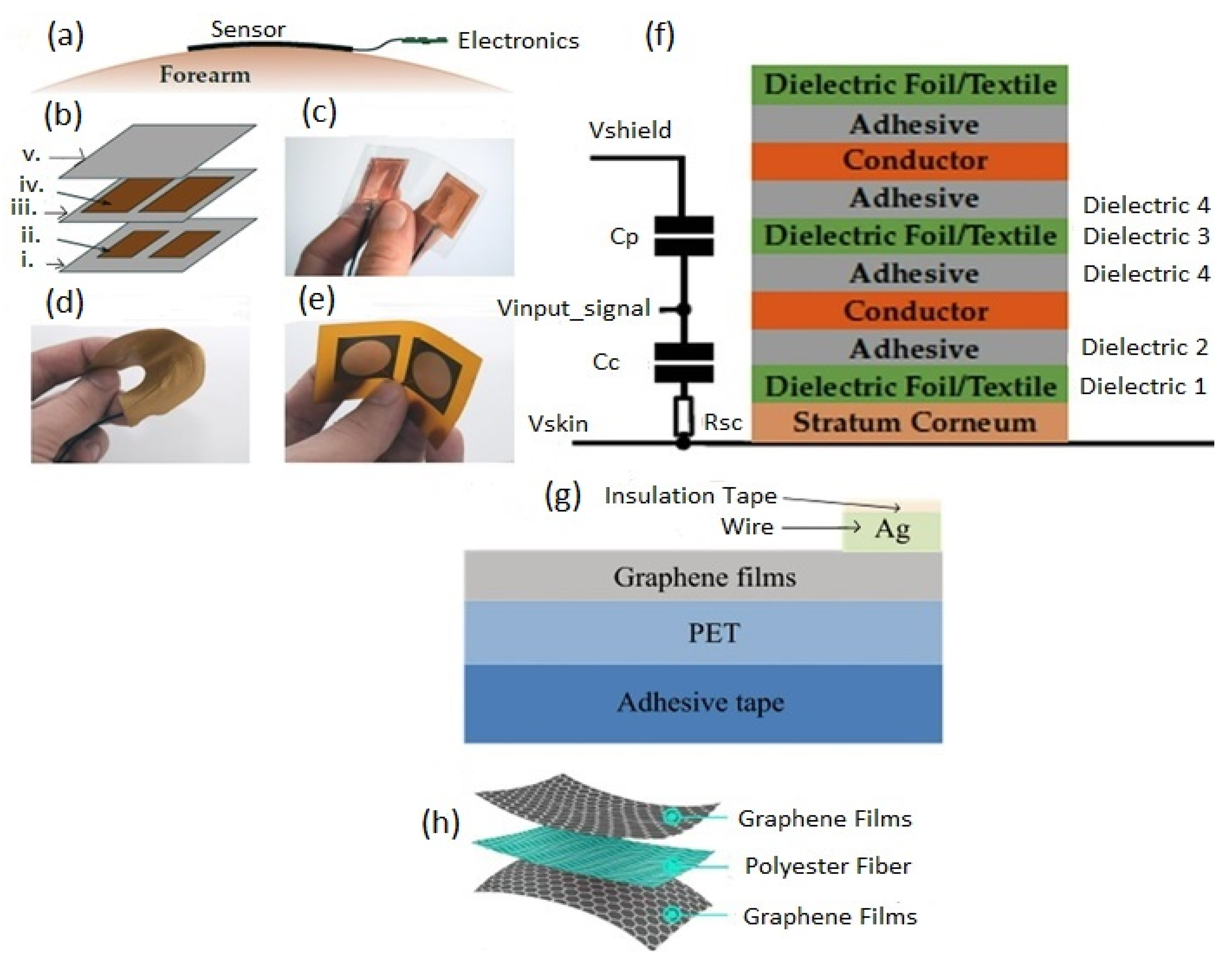 Biosensors 12 00630 g011