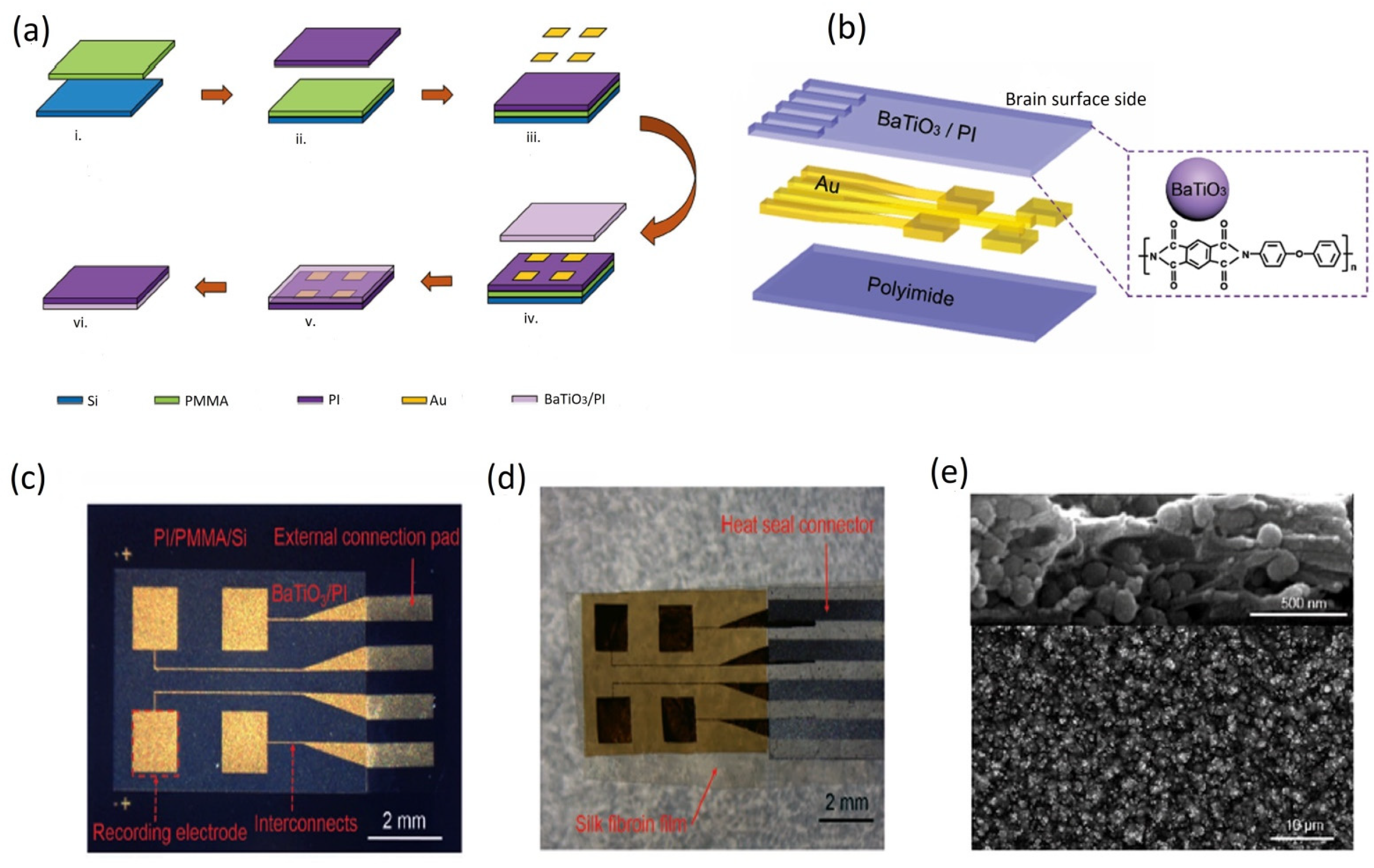 Biosensors 12 00630 g013
