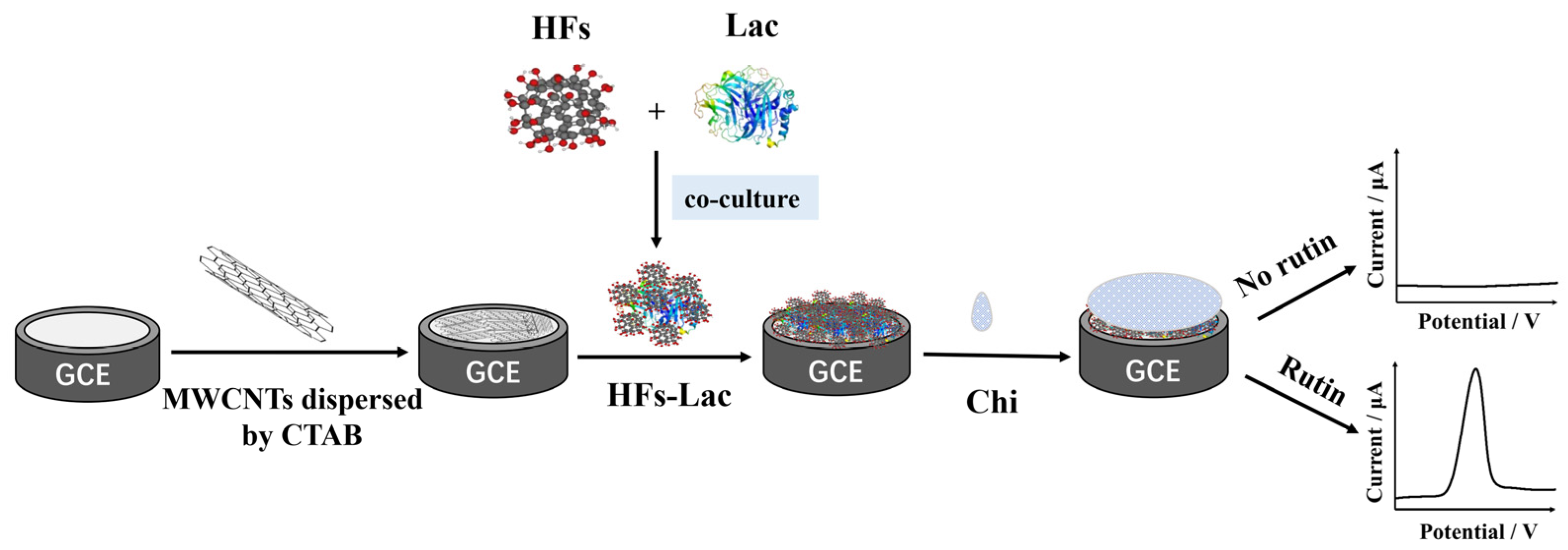 Biosensors 12 00632 g001
