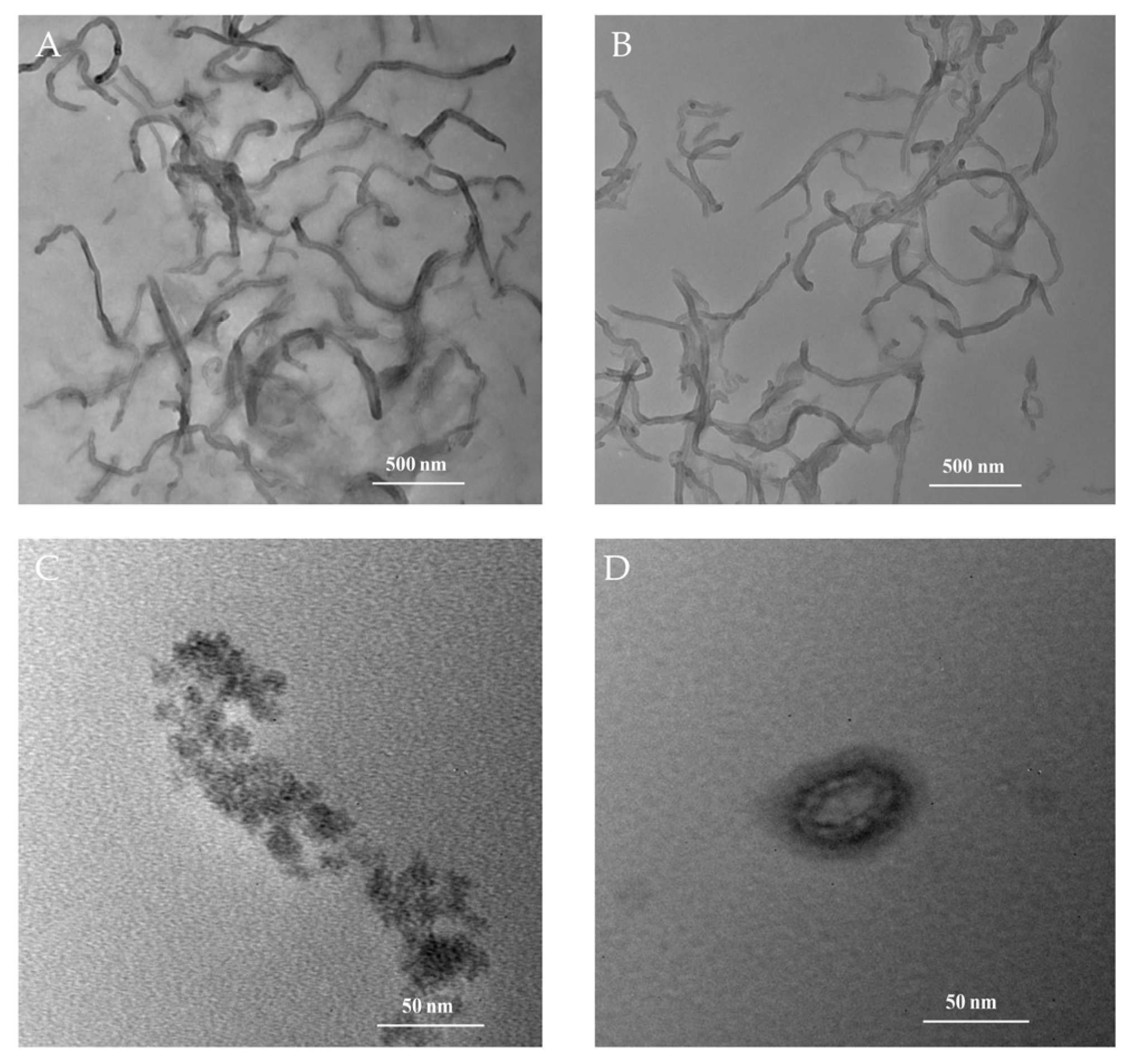 Biosensors 12 00632 g002