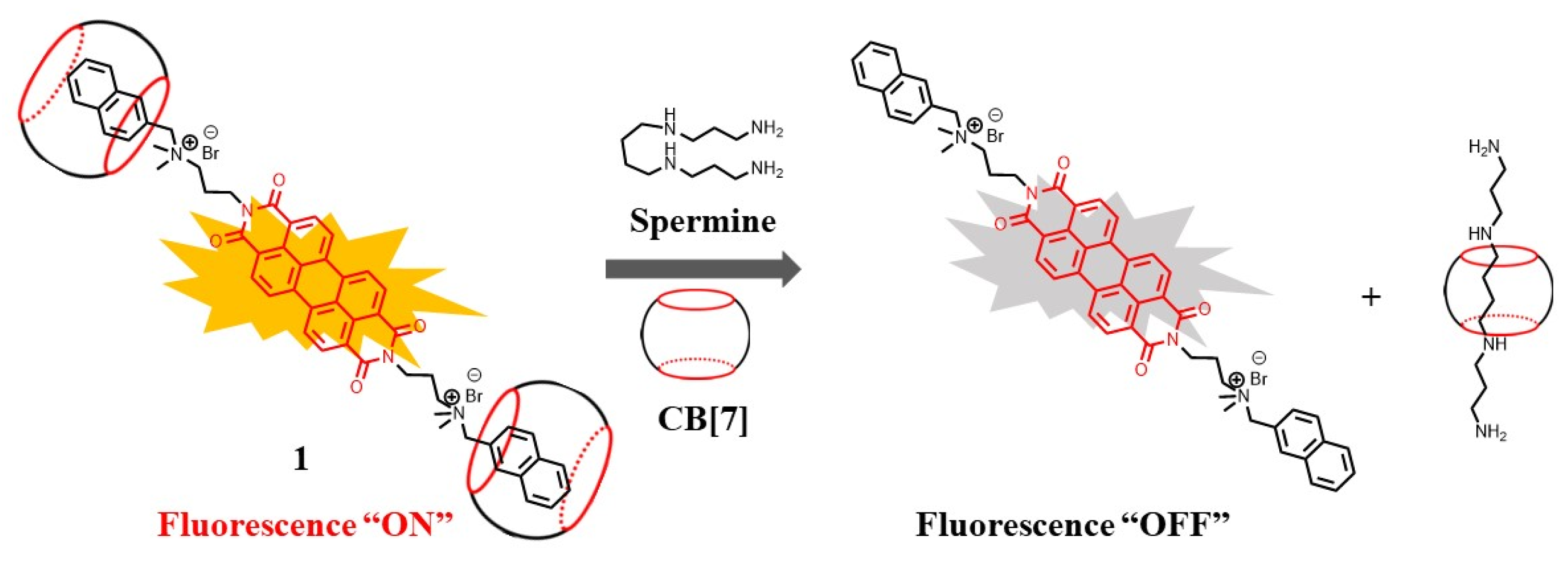 Biosensors 12 00633 g002