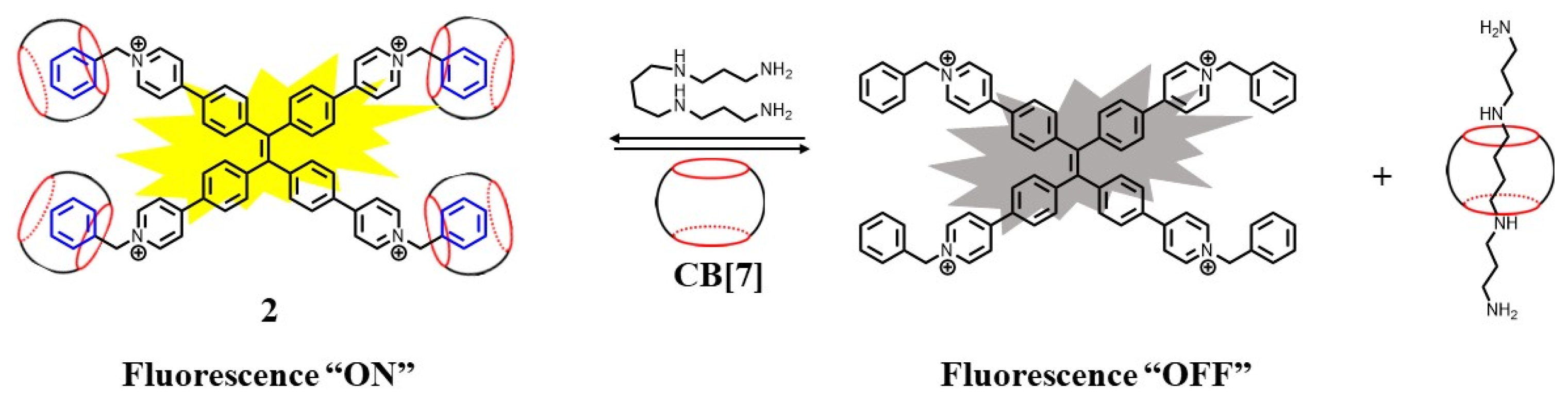 Biosensors 12 00633 g003