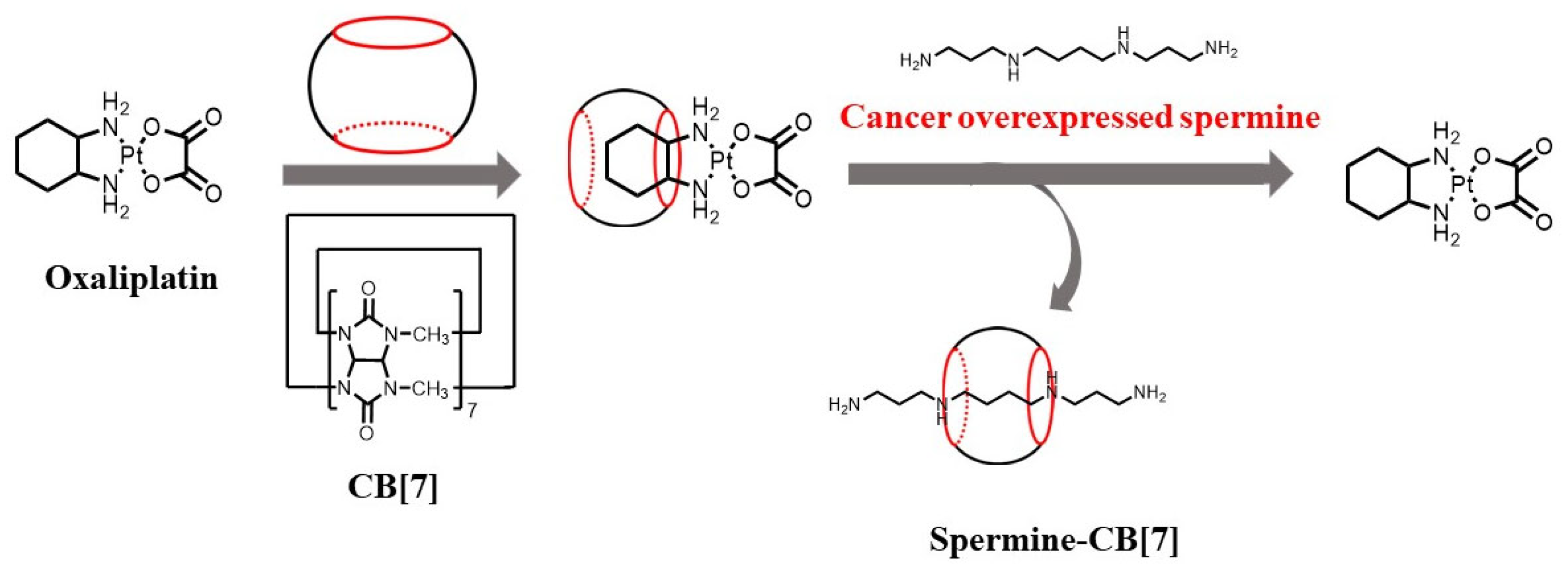 Biosensors 12 00633 g015