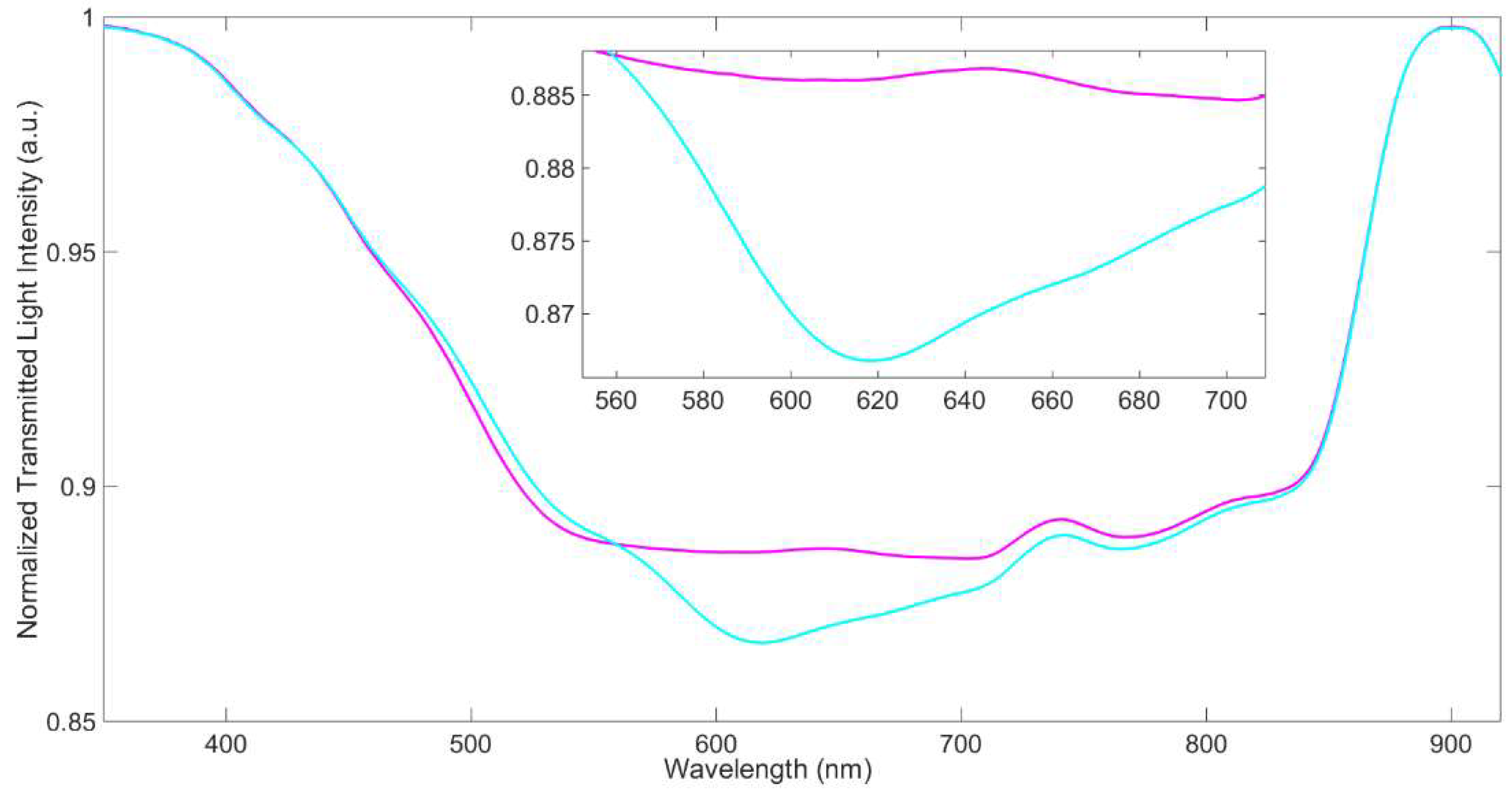 Biosensors 12 00635 g002 550