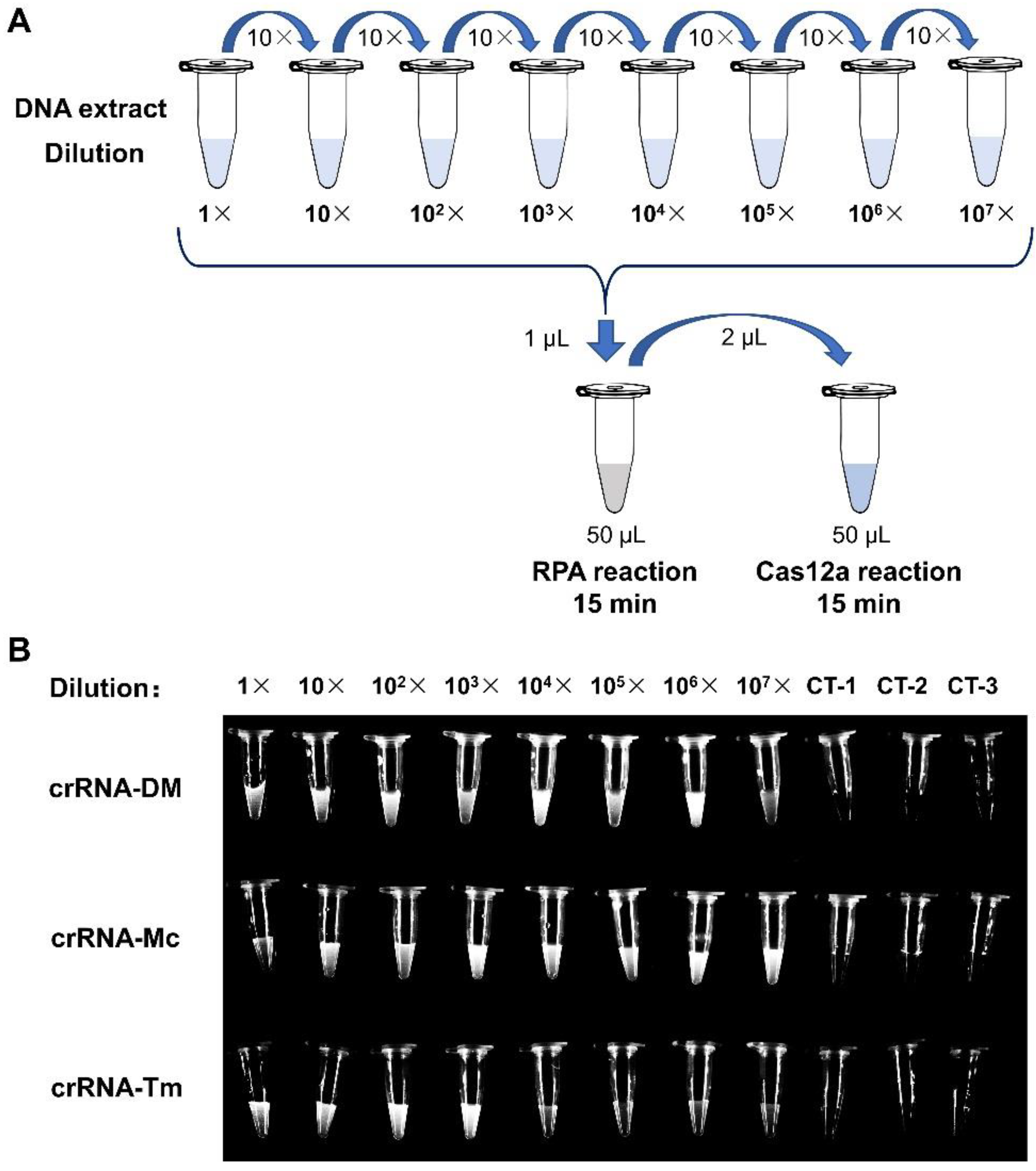 Biosensors 12 00636 g004 Biosensors 12 00636 g004