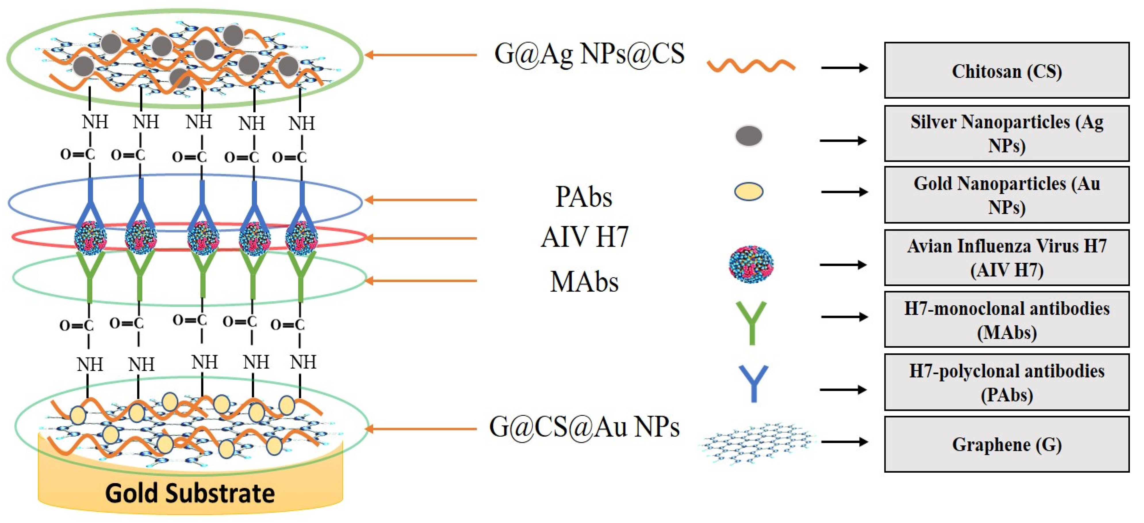 Biosensors 12 00637 g007 Biosensors 12 00637 g007