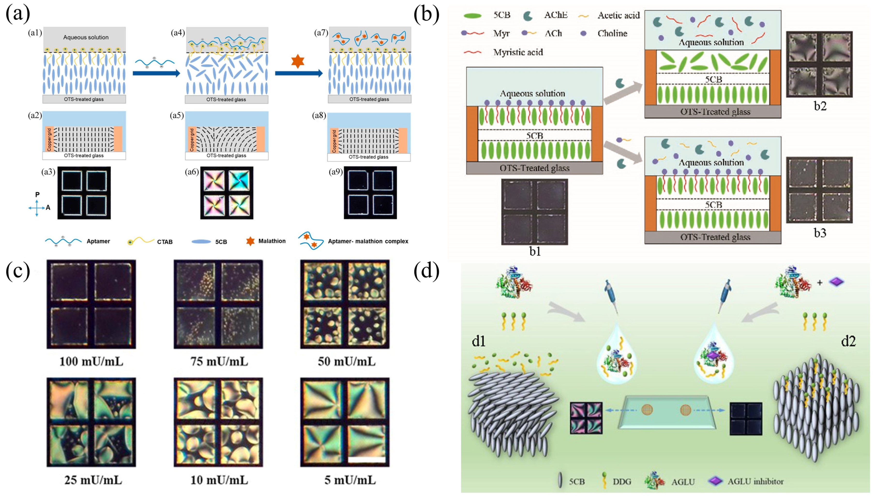 Biosensors 12 00639 g004 550