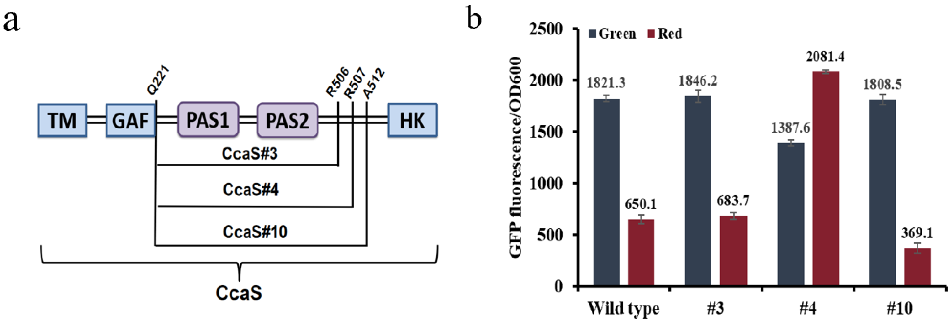 Biosensors 12 00642 g001