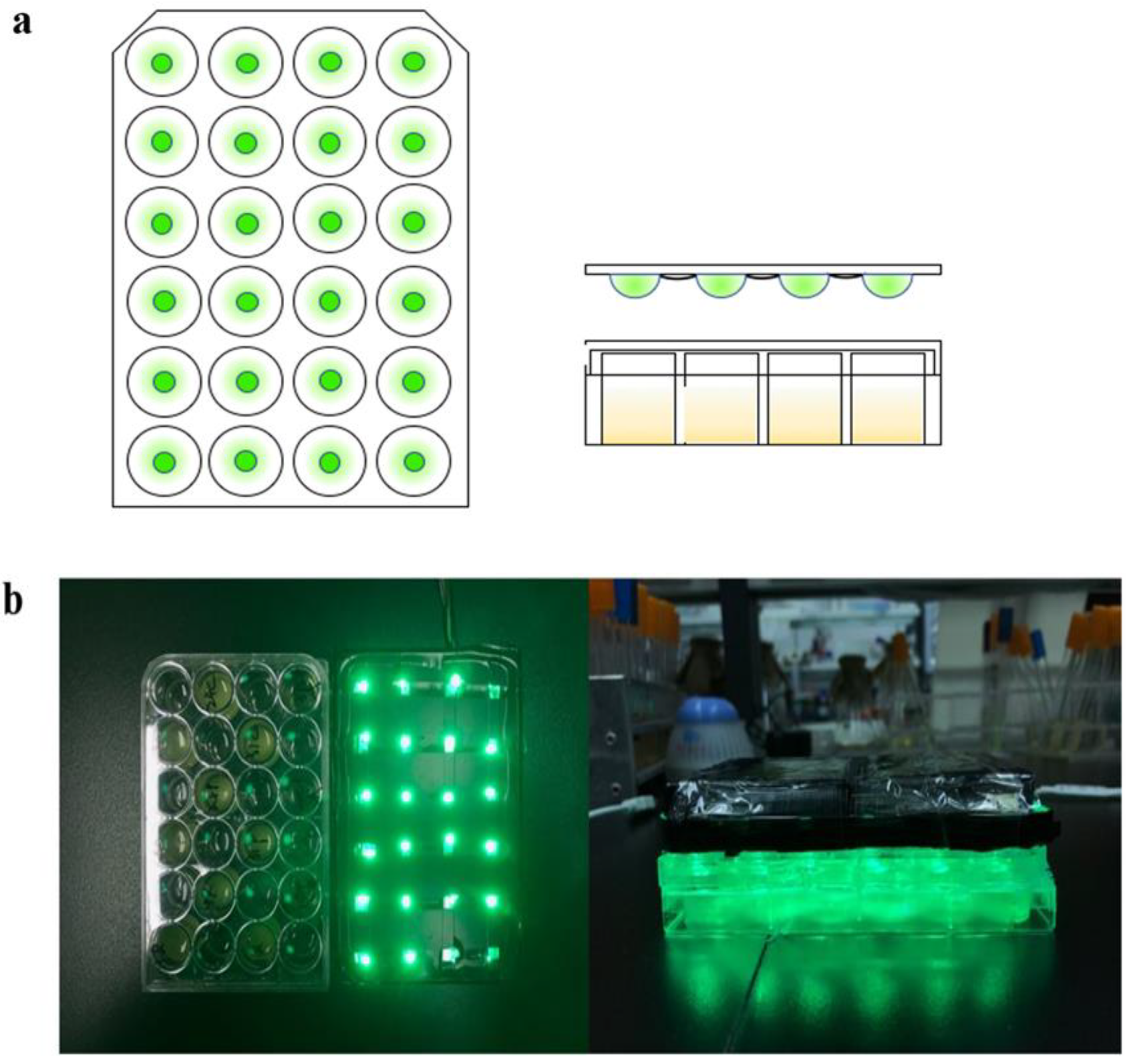 Biosensors 12 00642 g002