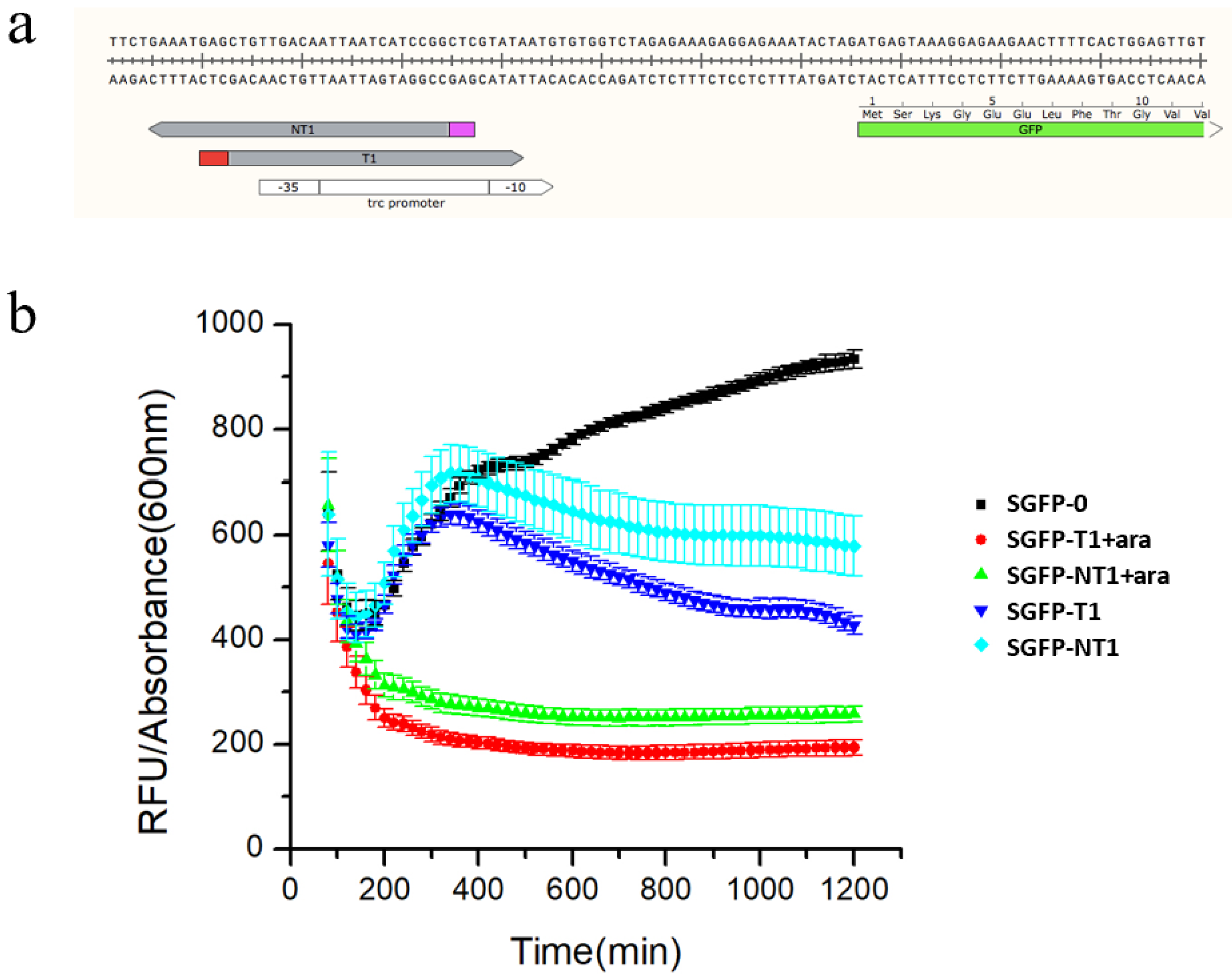 Biosensors 12 00642 g003