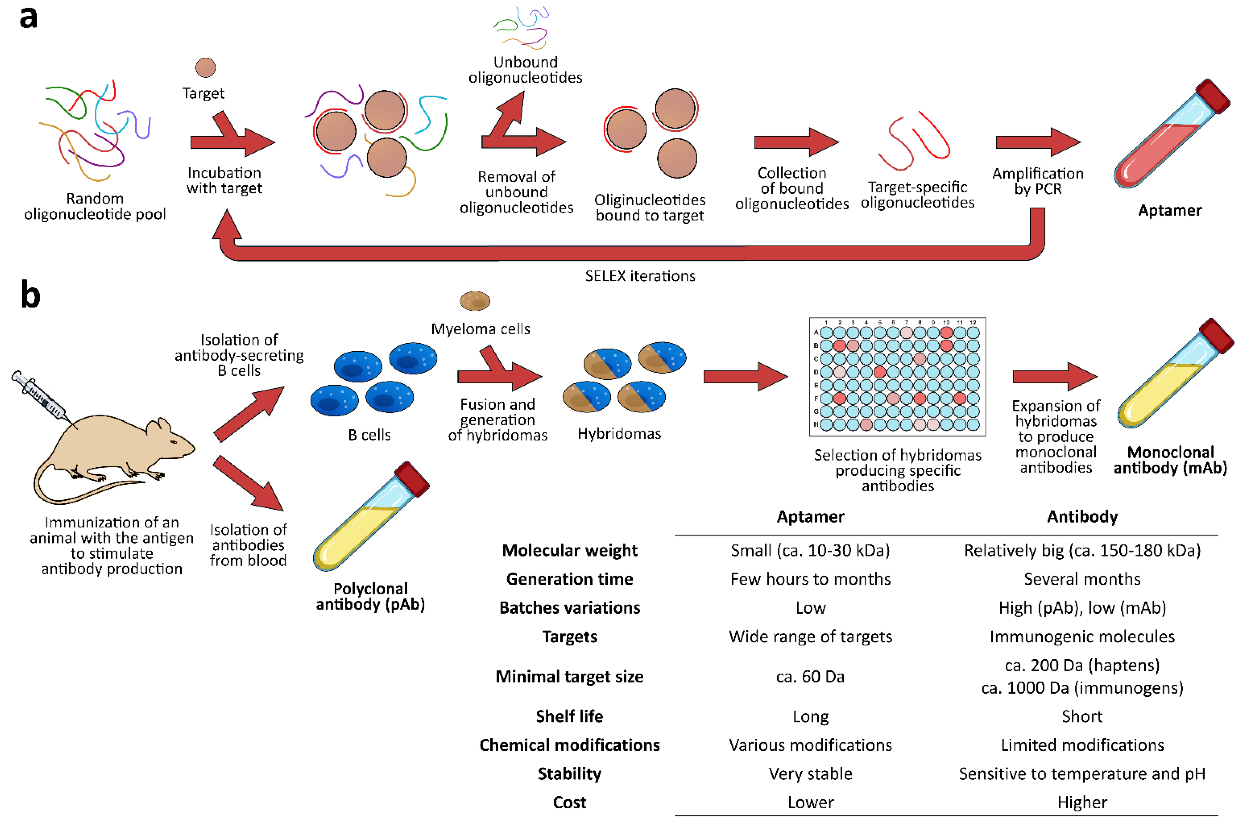 Biosensors 12 00644 g001