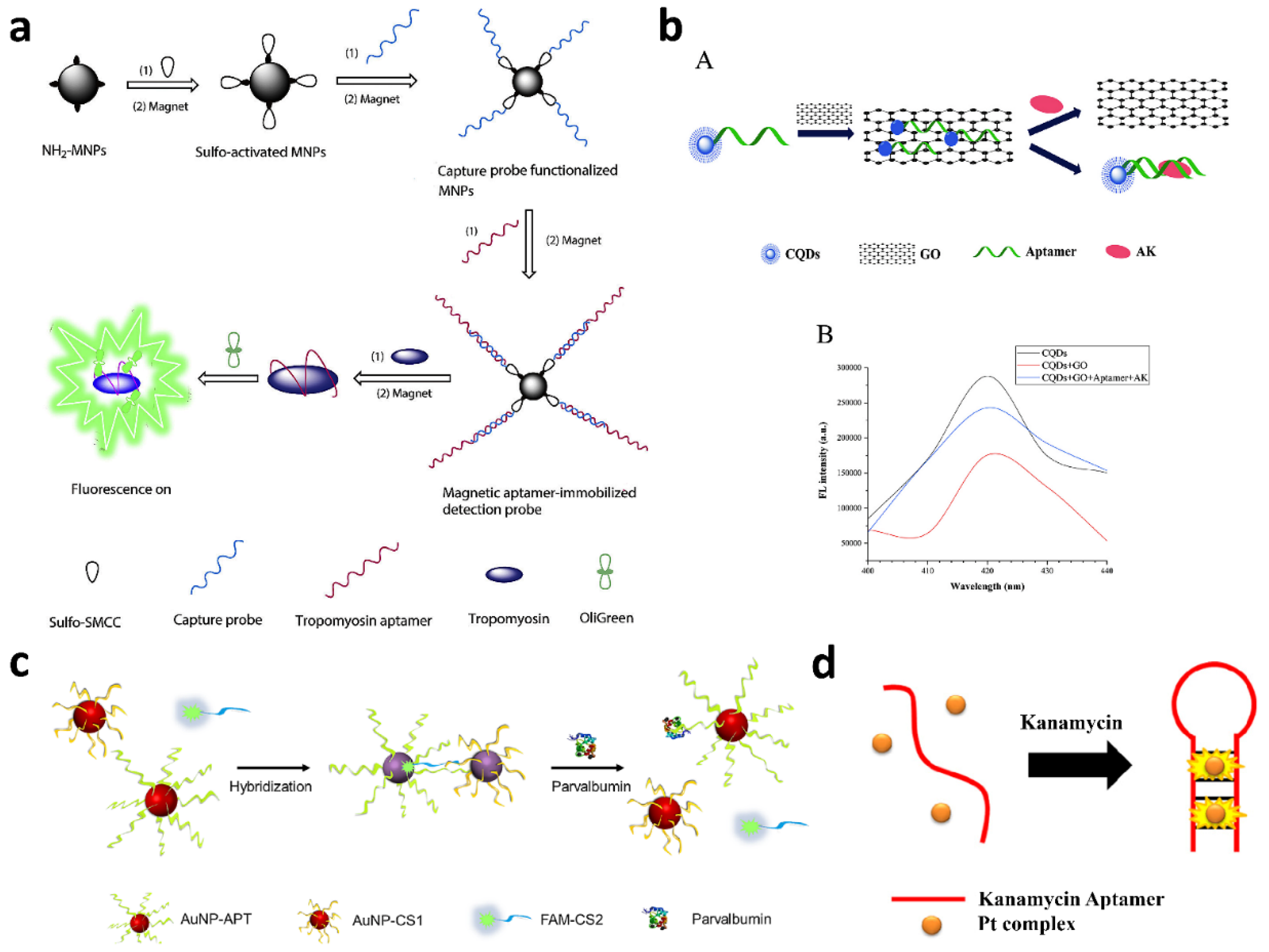 Biosensors 12 00644 g003