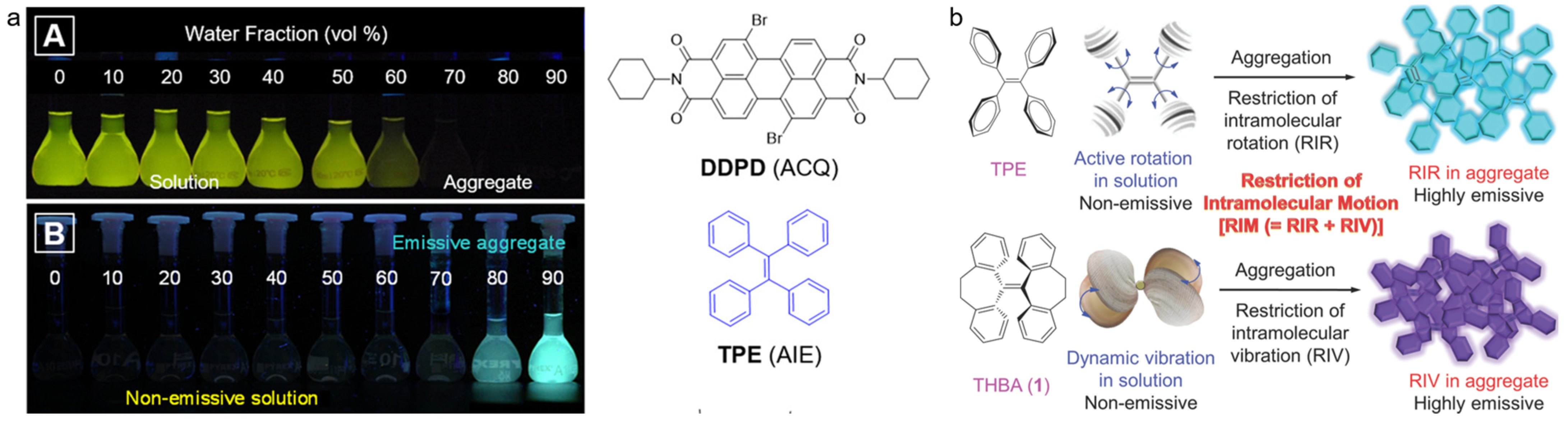 Biosensors 12 00646 g001