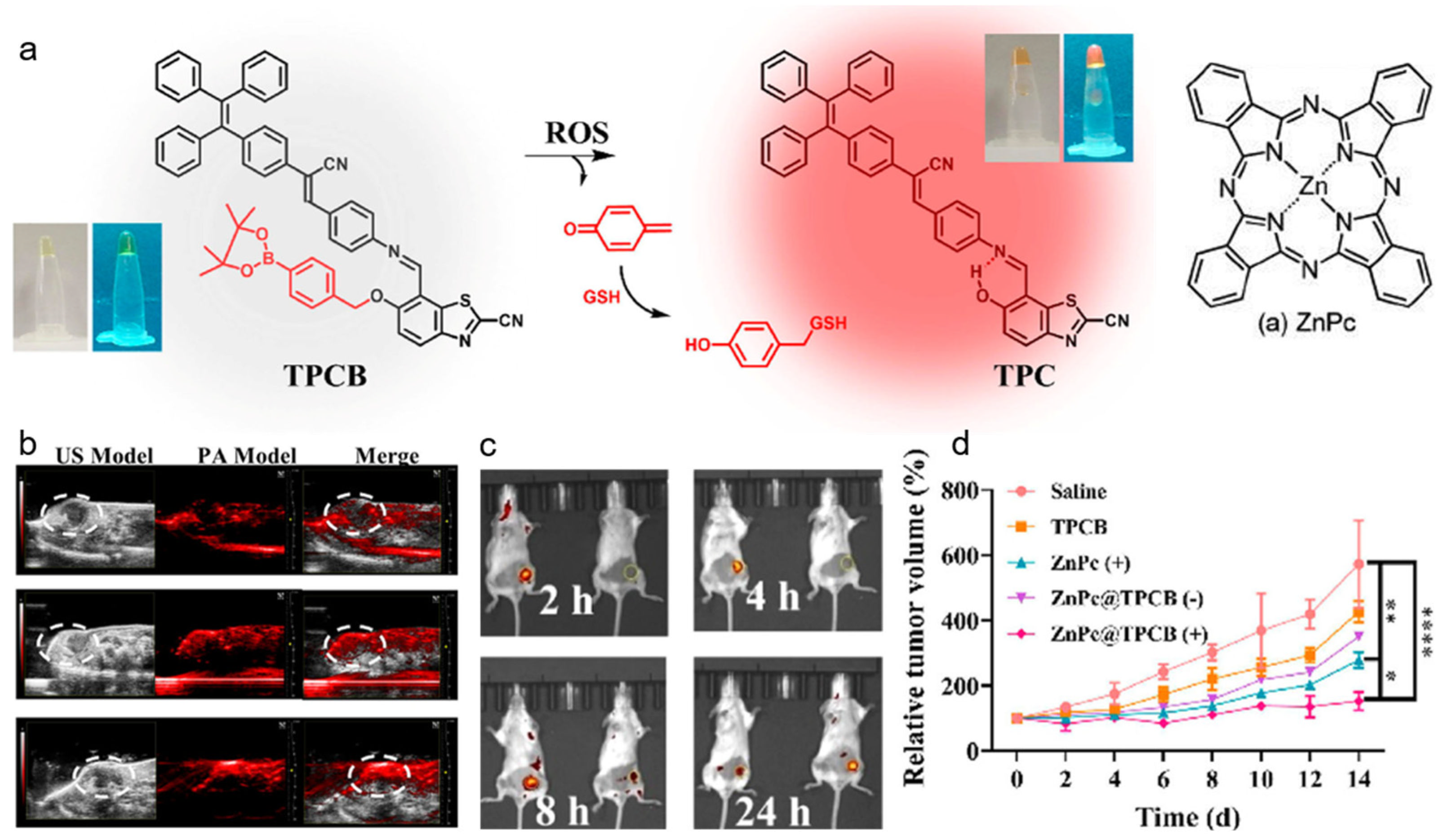 Biosensors 12 00646 g005