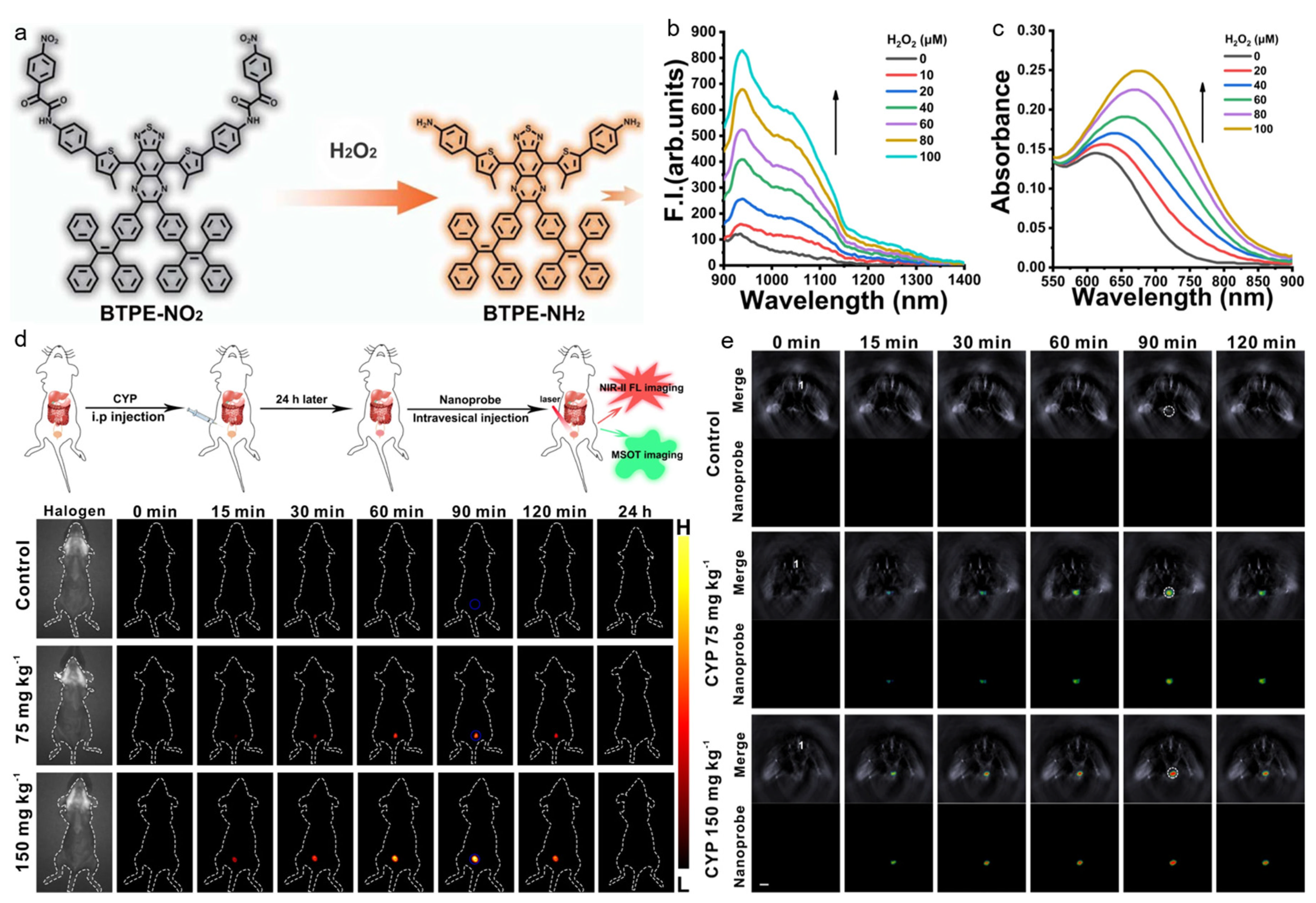 Biosensors 12 00646 g007
