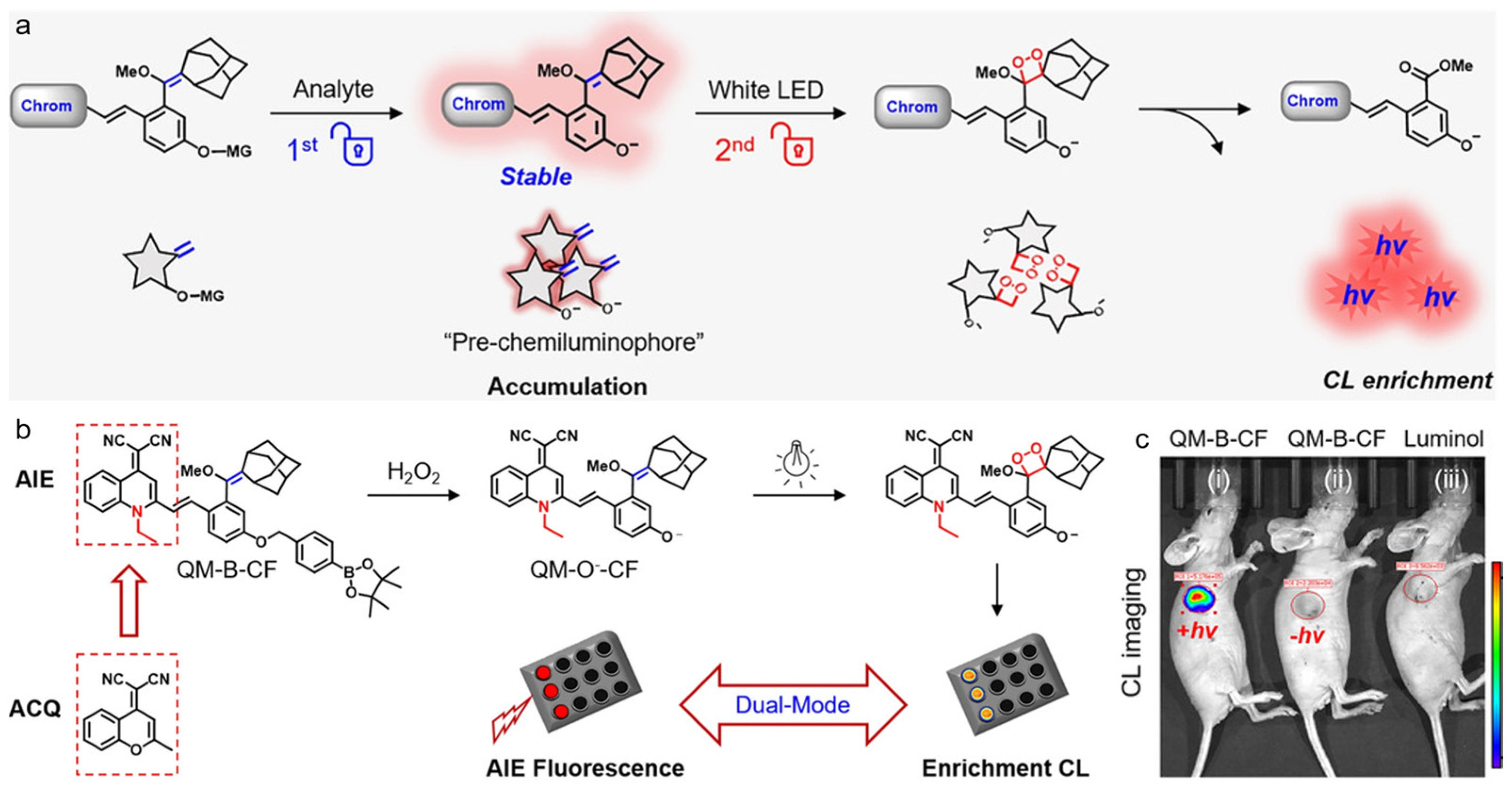 Biosensors 12 00646 g008