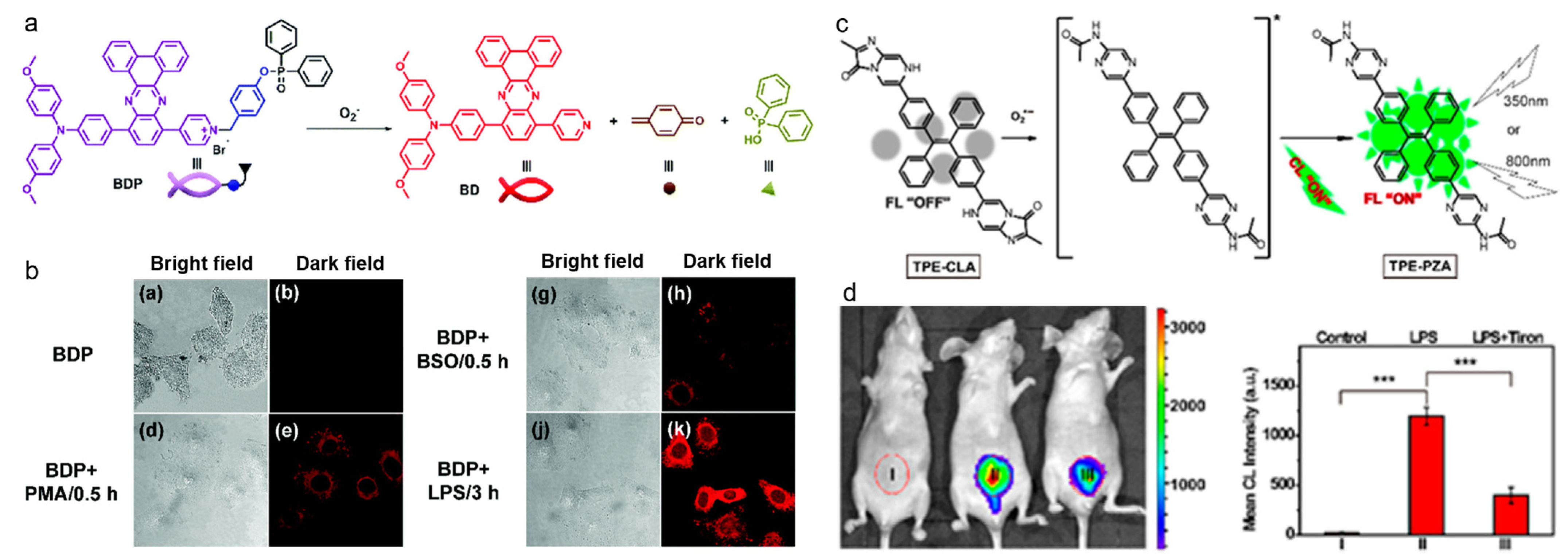 Biosensors 12 00646 g010
