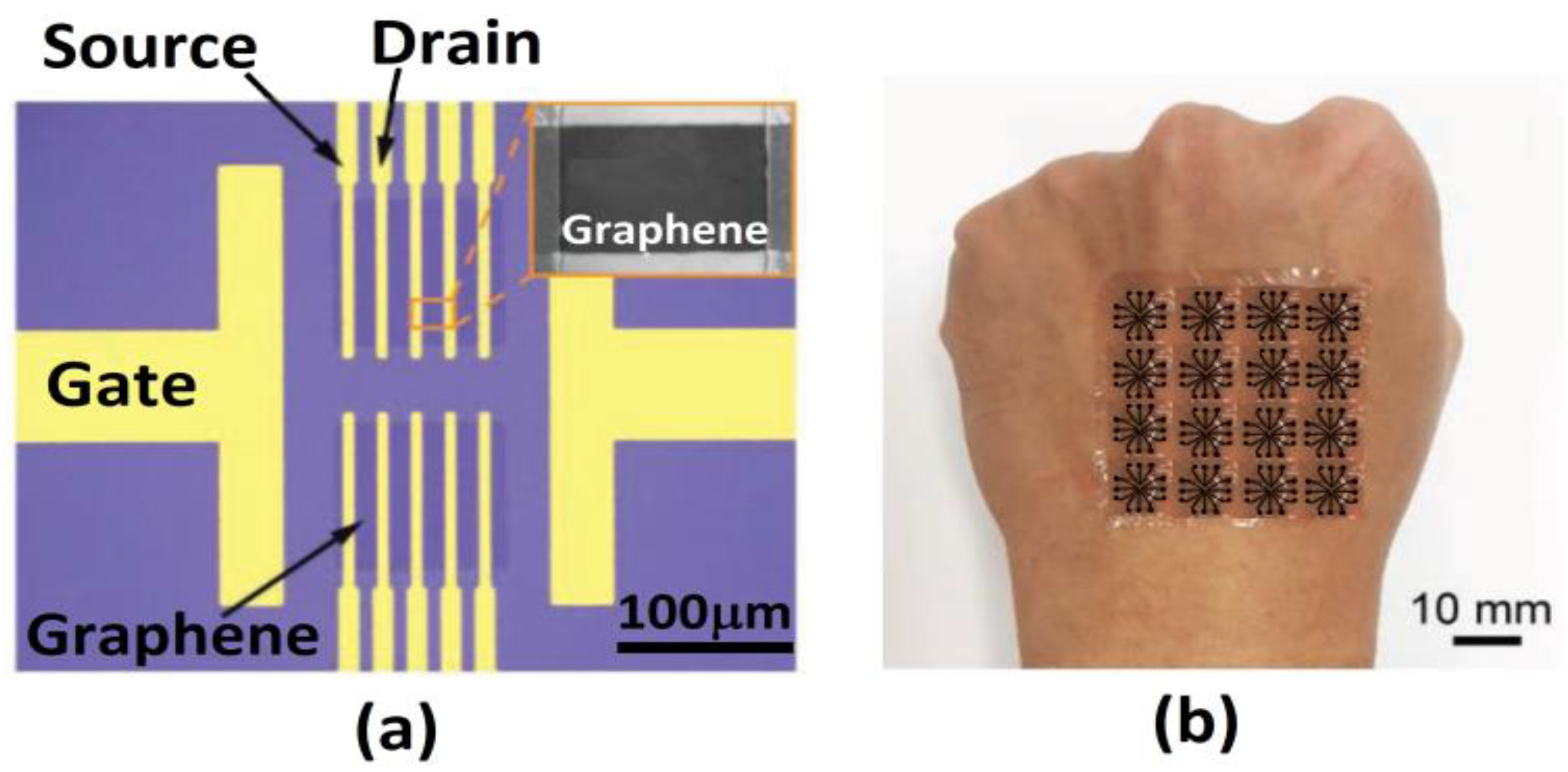 Biosensors 12 00647 g006