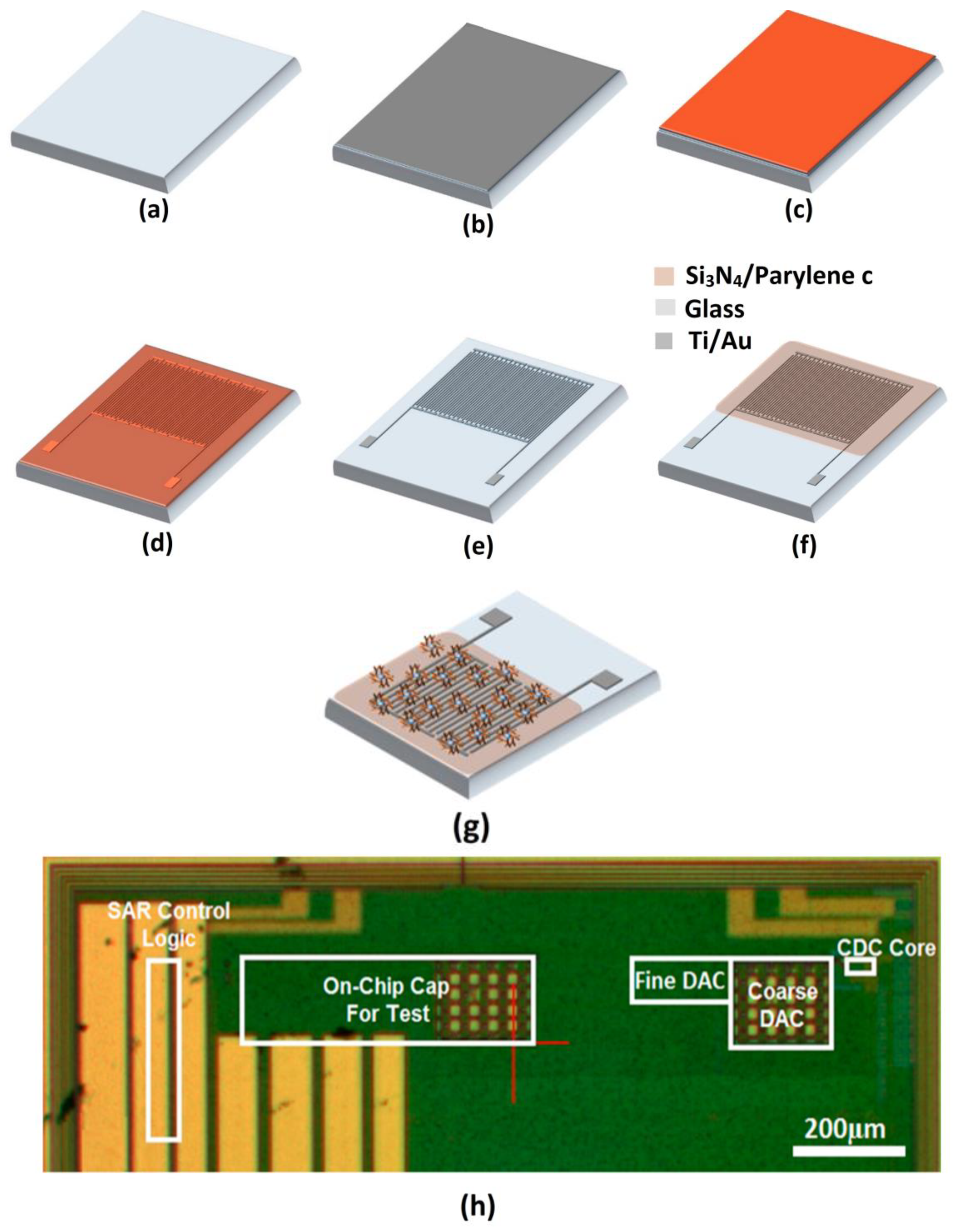 Biosensors 12 00647 g008