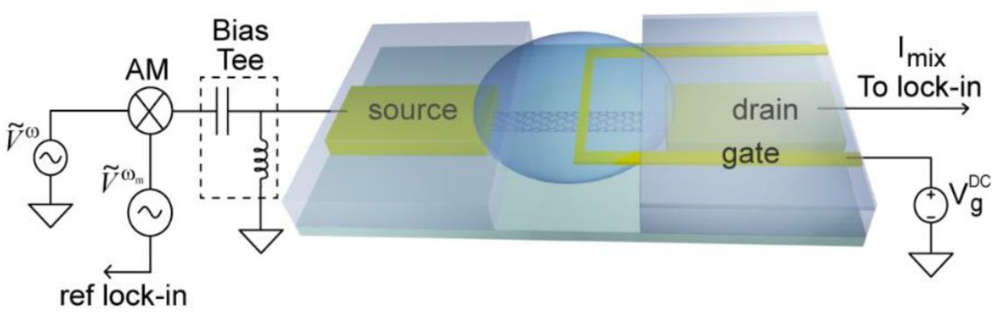 Biosensors 12 00647 g009