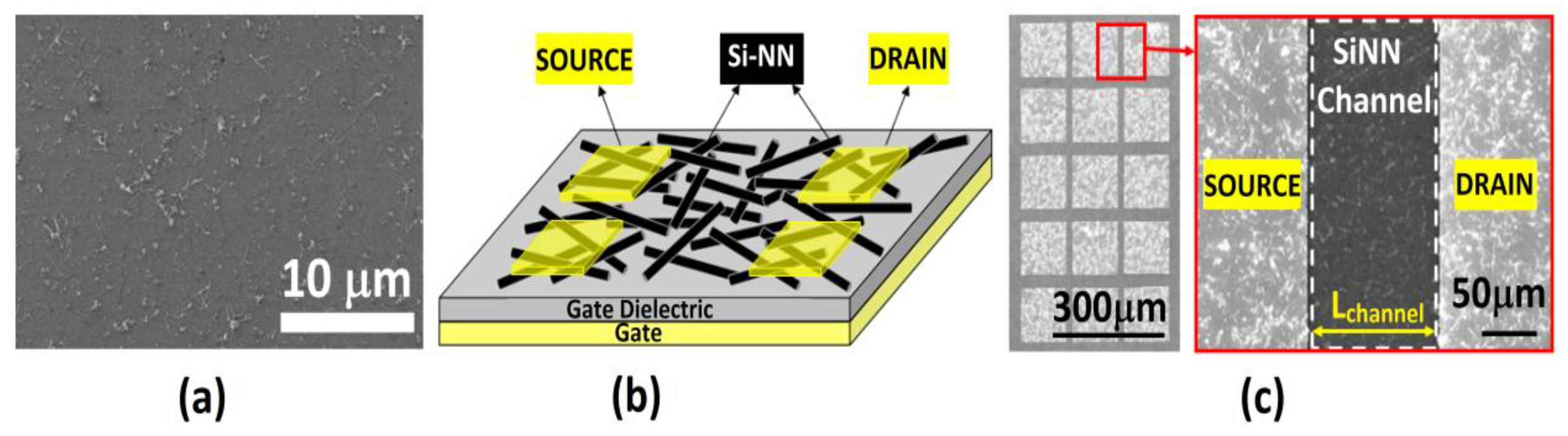 Biosensors 12 00647 g012